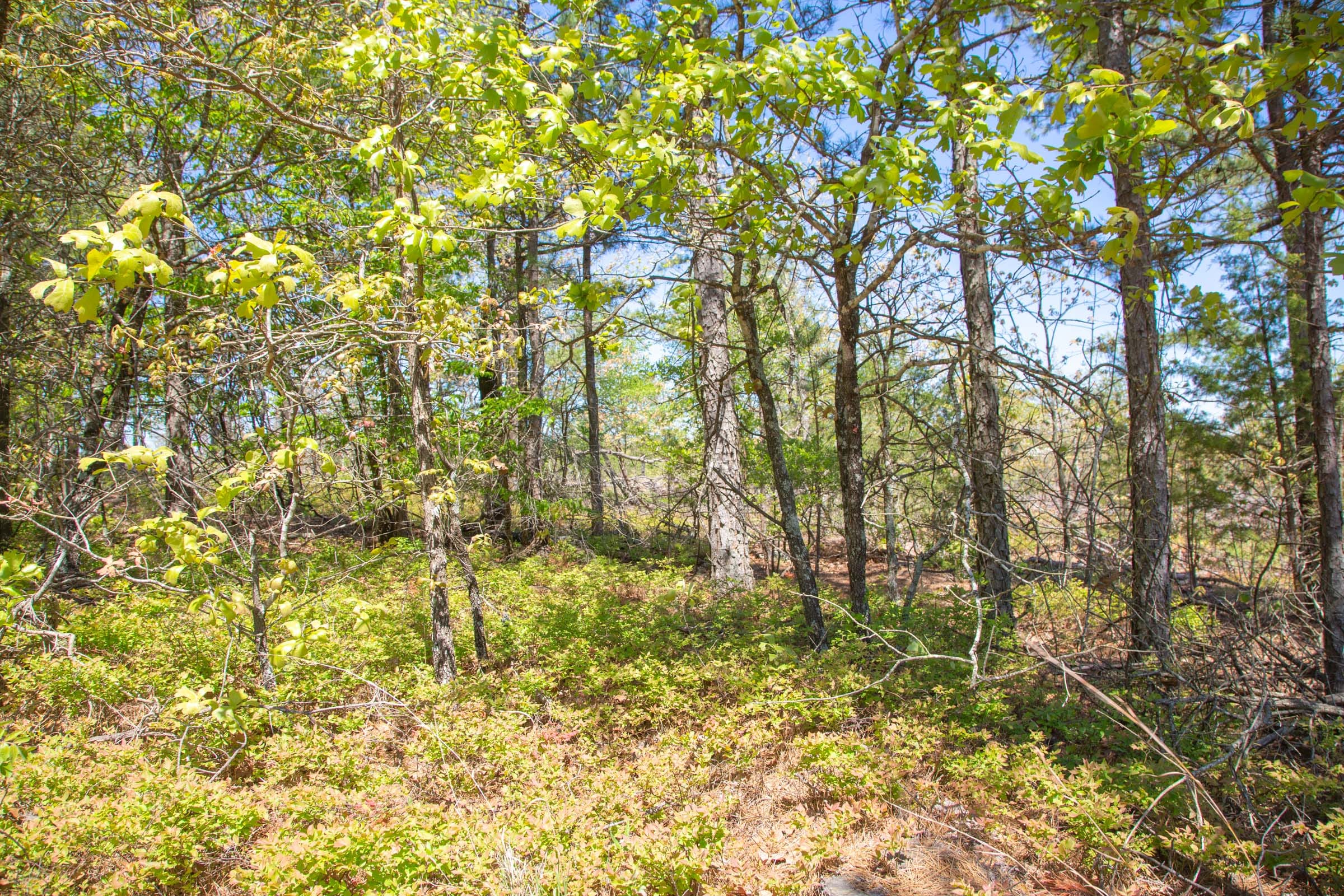 Eagle’s Nest Tract 18 photo 9