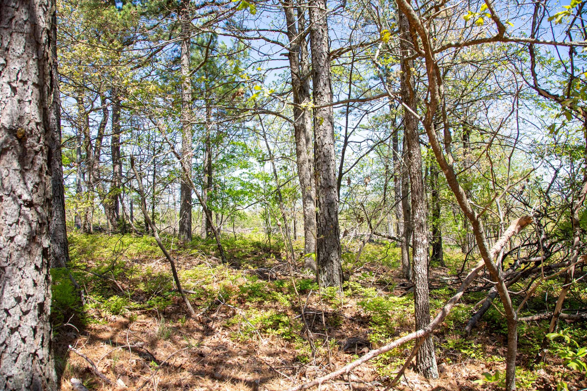 Eagle’s Nest Tract 18 photo 10