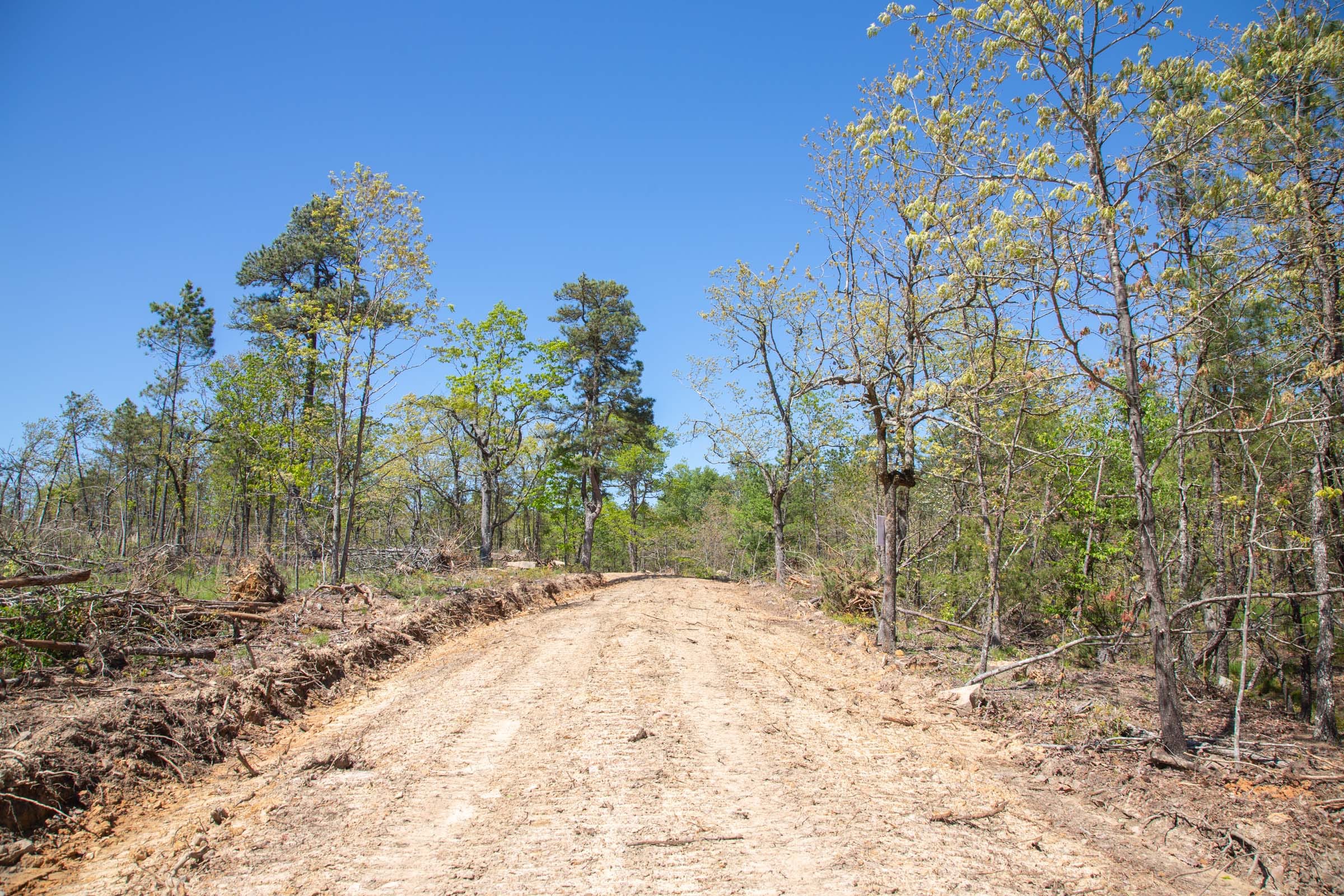 Eagle’s Nest Tract 18 photo 11