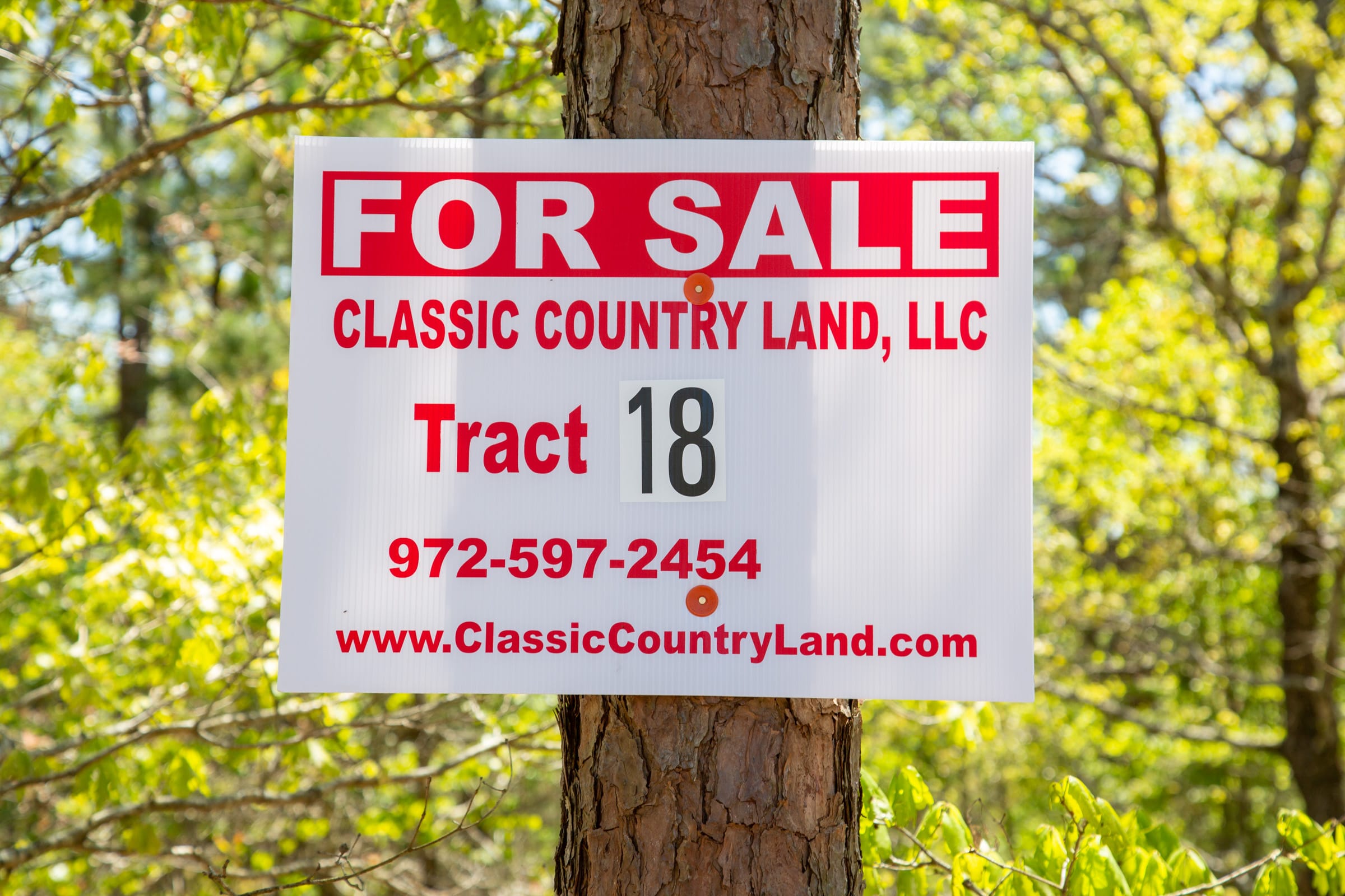 Eagle’s Nest Tract 18 photo 1