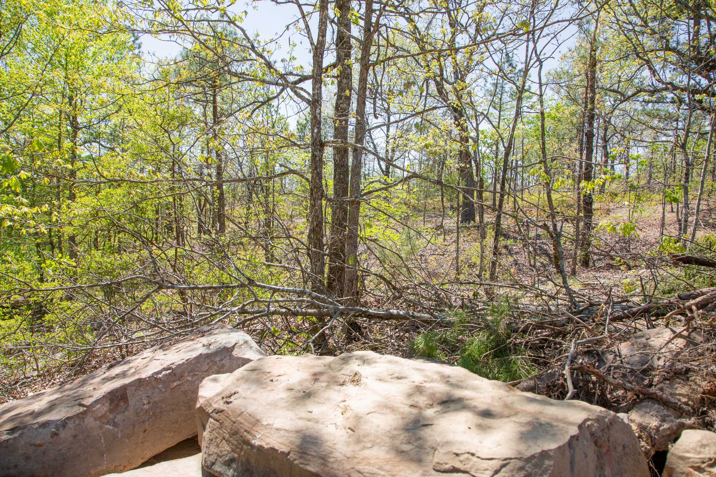 Eagle’s Nest Tract 18 photo 12