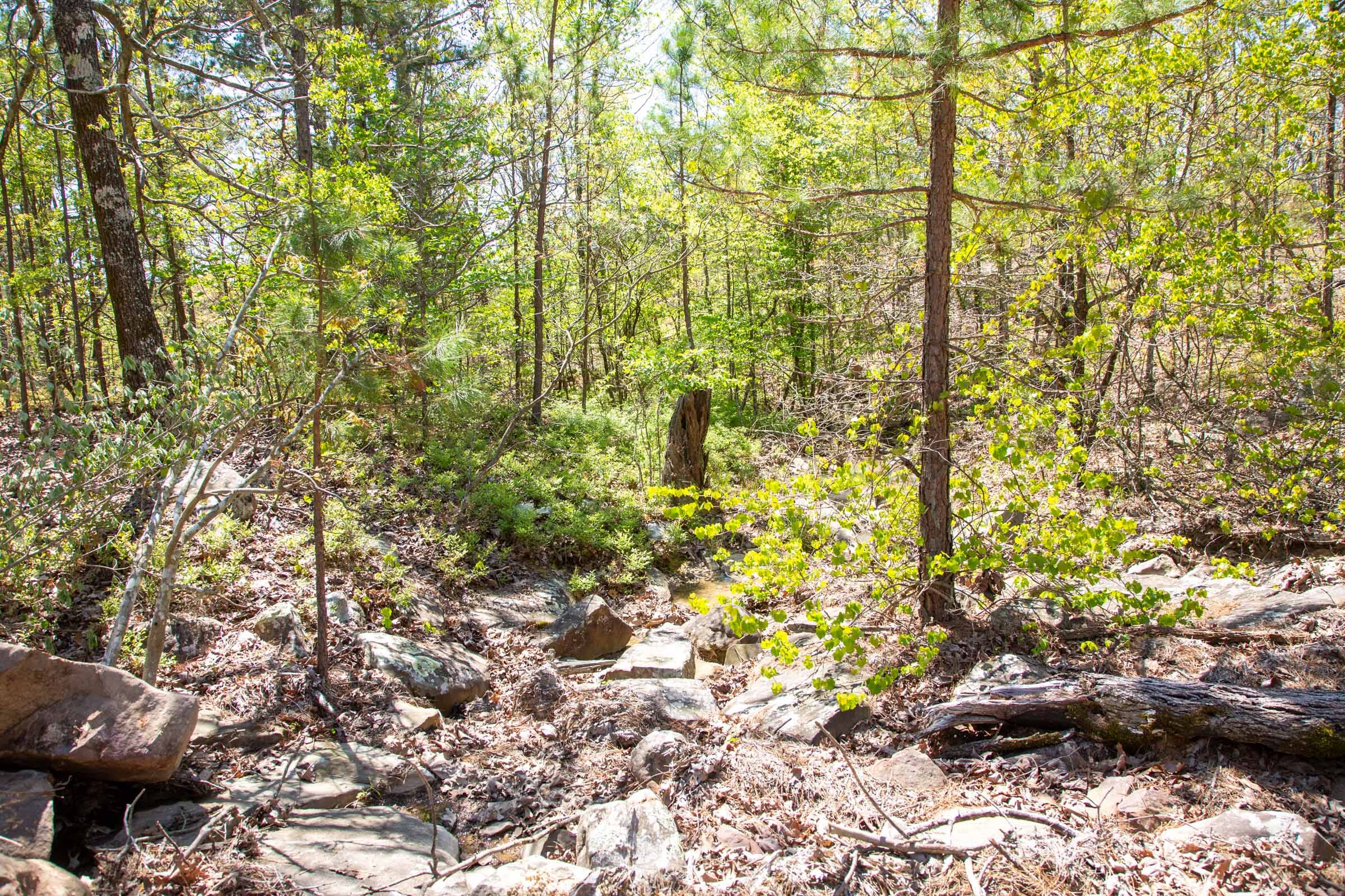 Eagle’s Nest Tract 18 photo 13