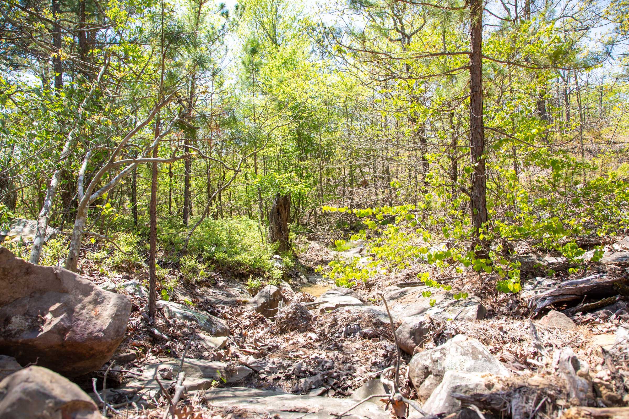 Eagle’s Nest Tract 18 photo 14