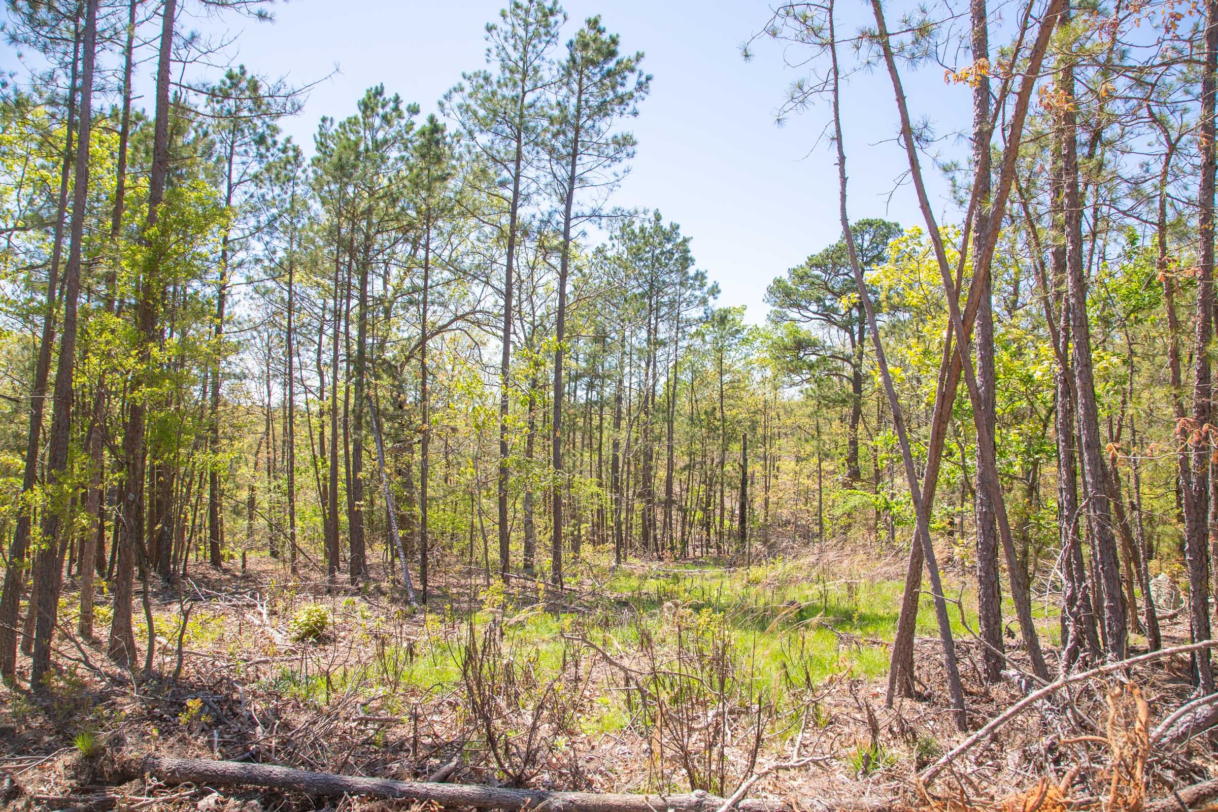 Eagle’s Nest Tract 18 photo 15