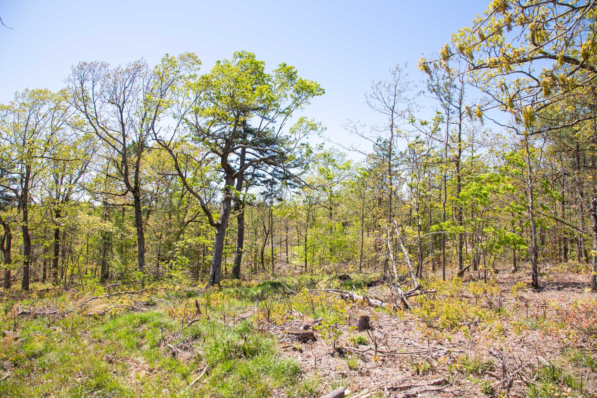 Eagle’s Nest Tract 18 photo 16