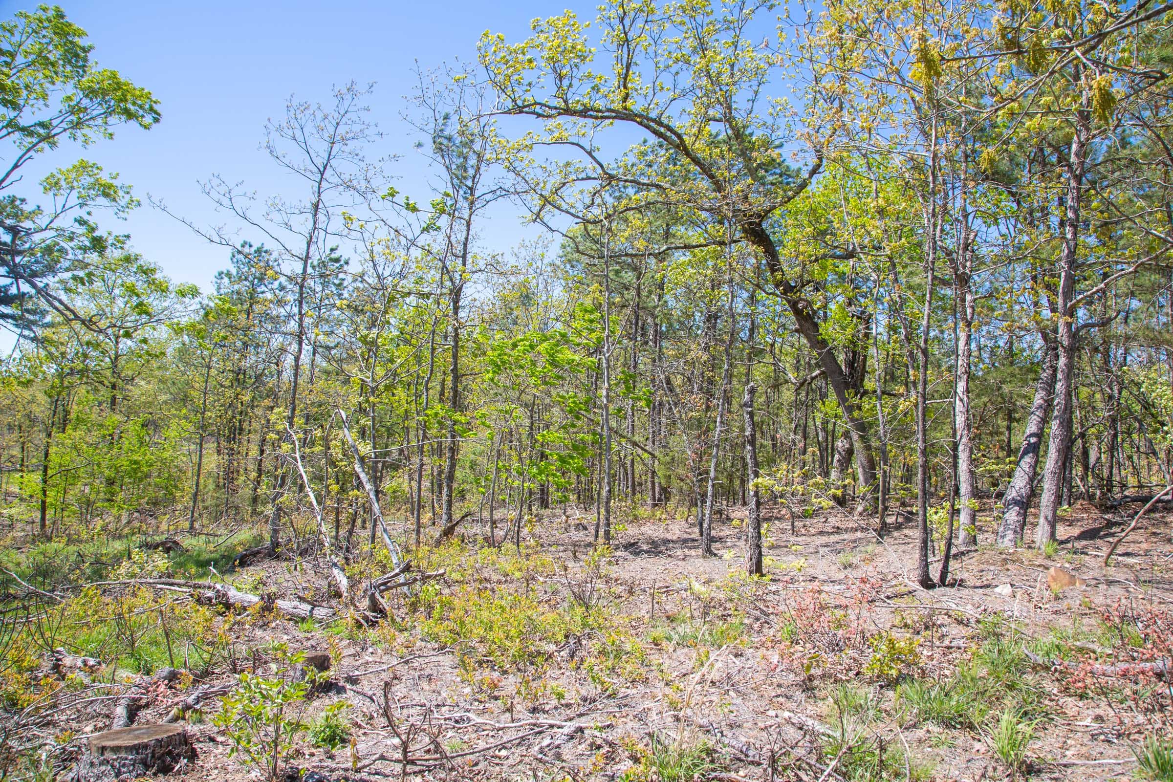 Eagle’s Nest Tract 18 photo 17