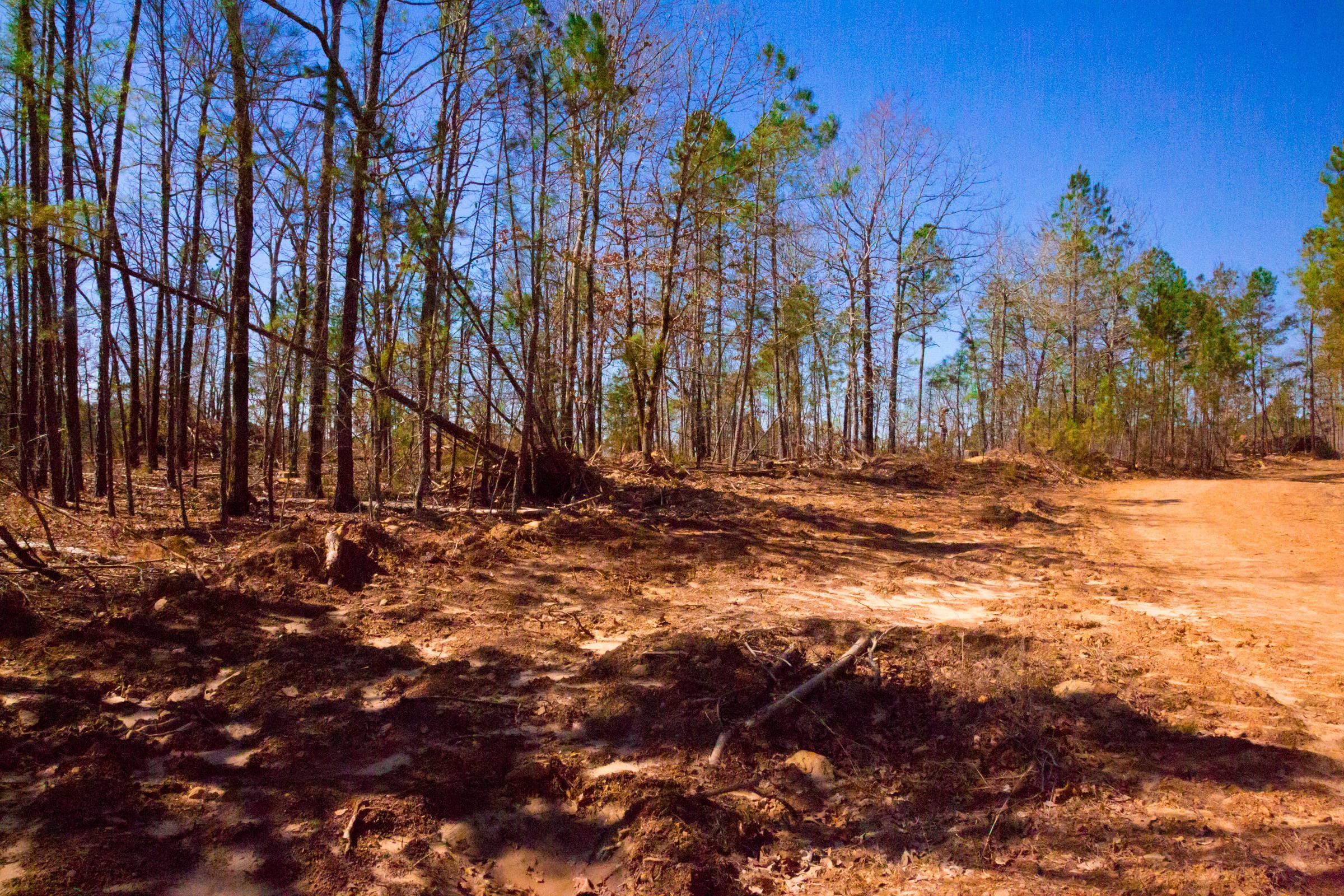 Stone Creek Phase II Tract 132 photo 6