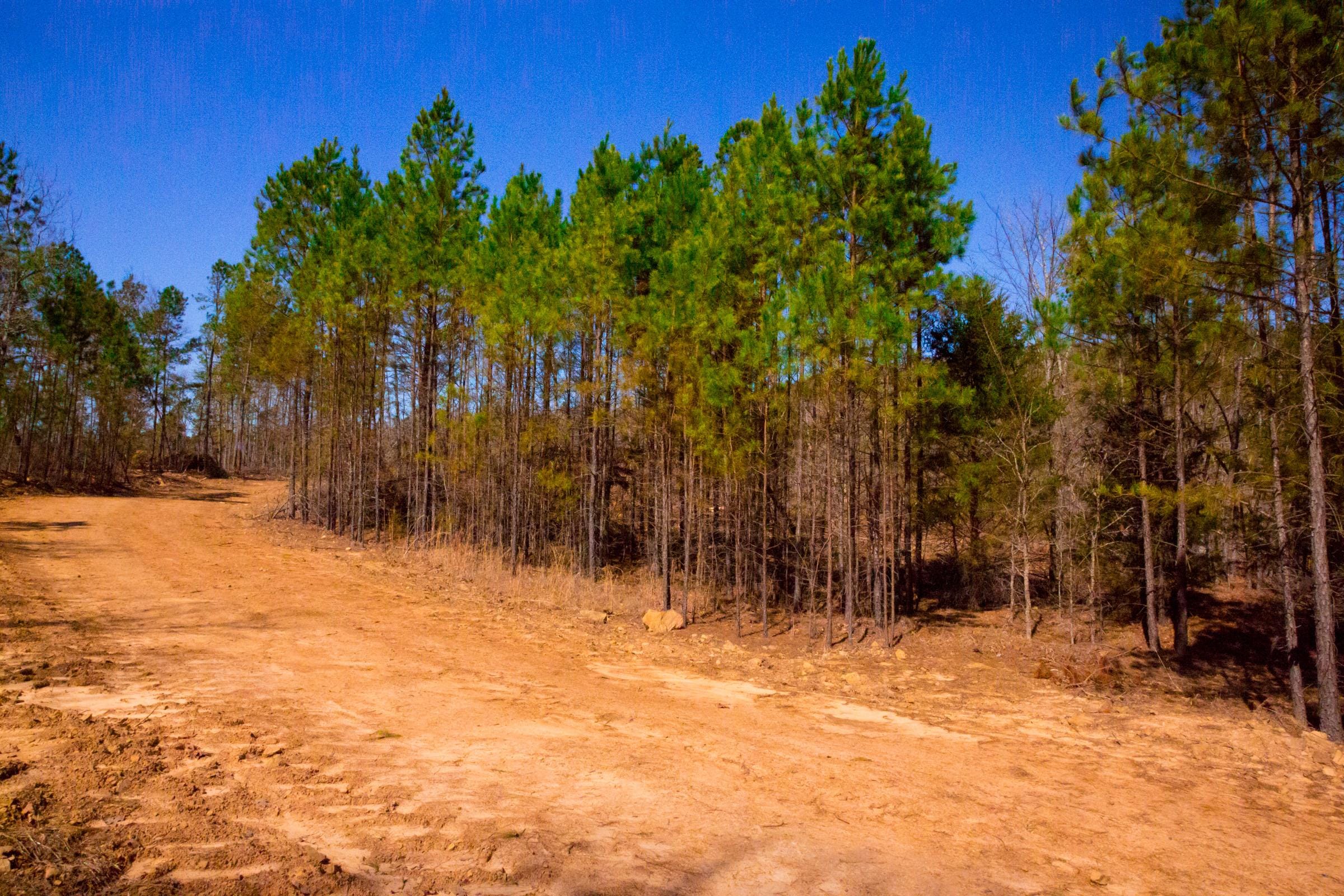 Stone Creek Phase II Tract 132 photo 7