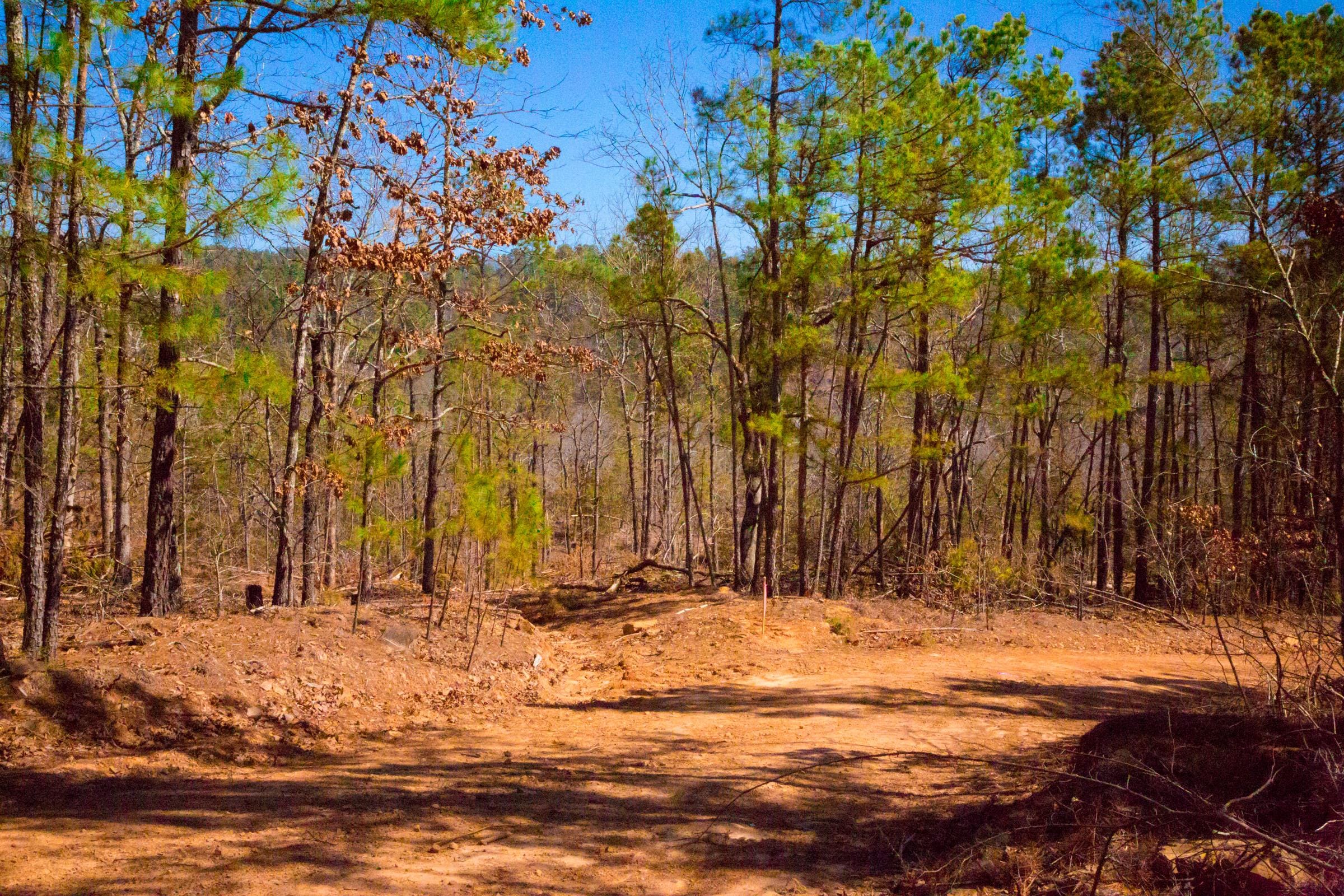 Stone Creek Phase II Tract 132 photo 8