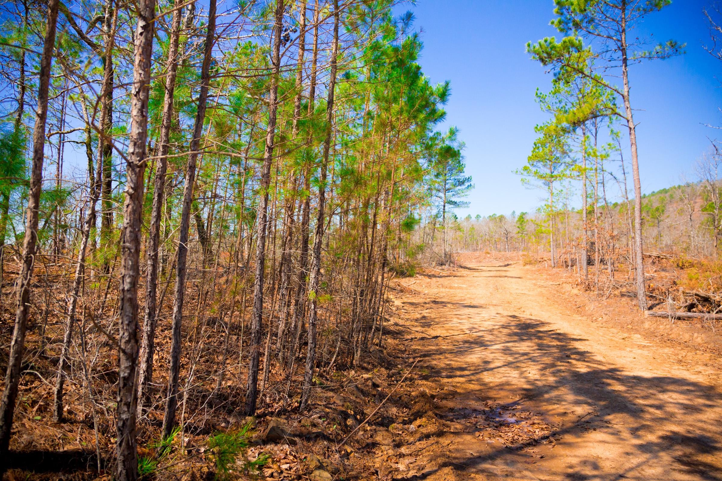 Stone Creek Phase II Tract 132 photo 2