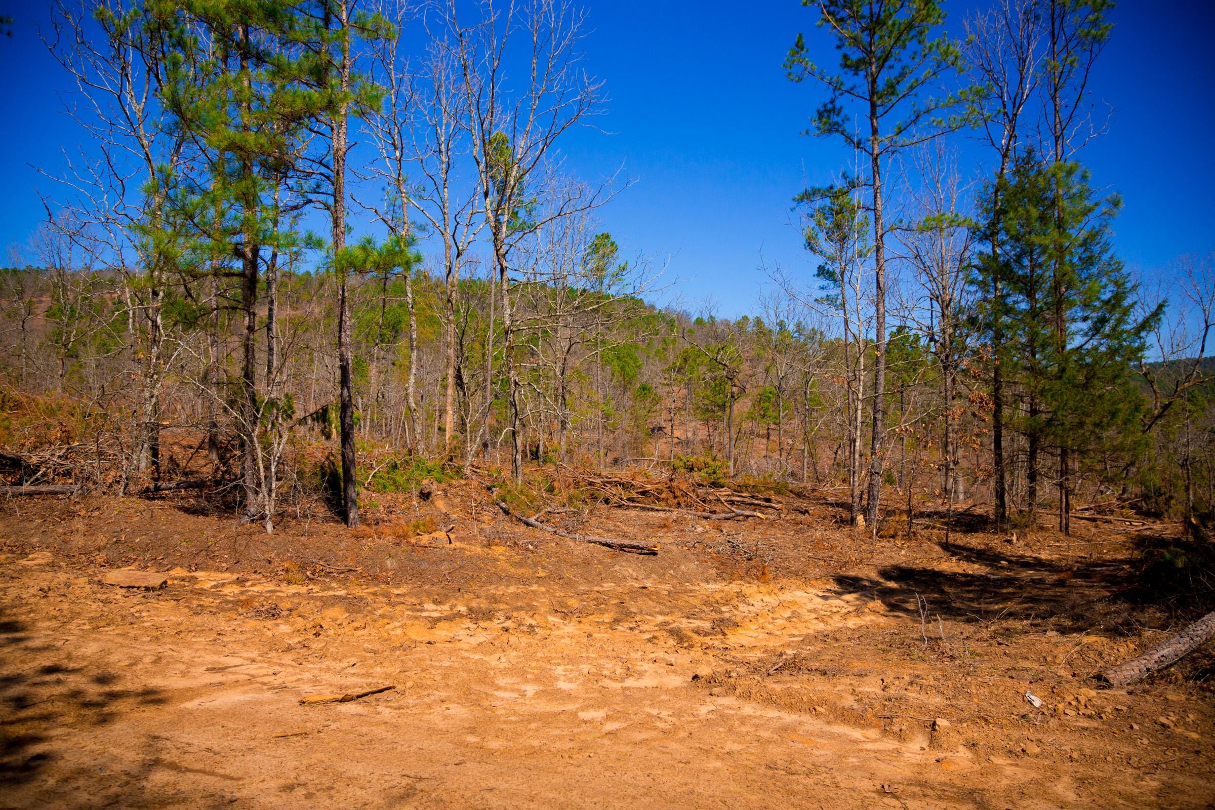 Stone Creek Phase II Tract 132 photo 10