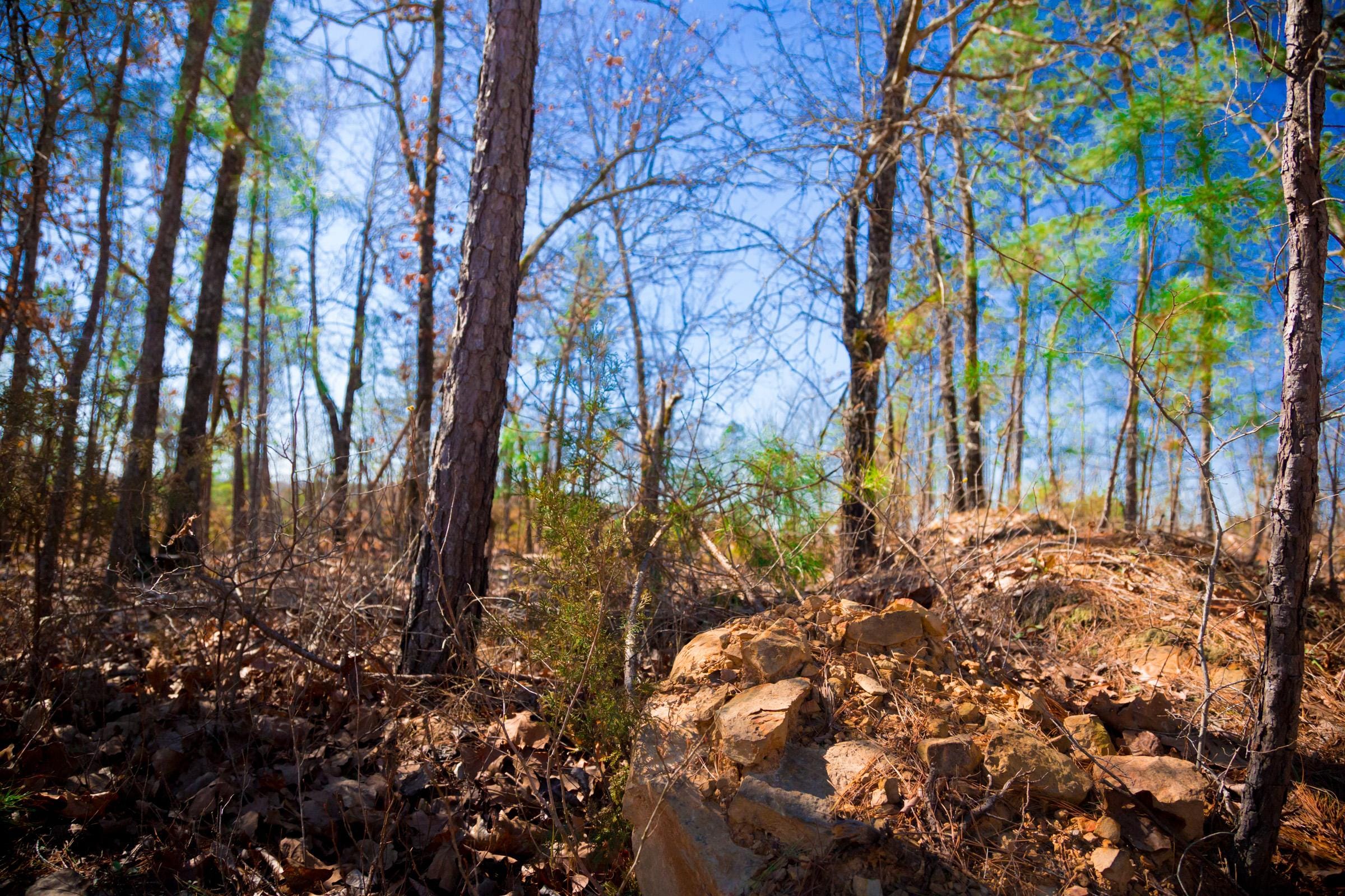 Stone Creek Phase II Tract 132 photo 11