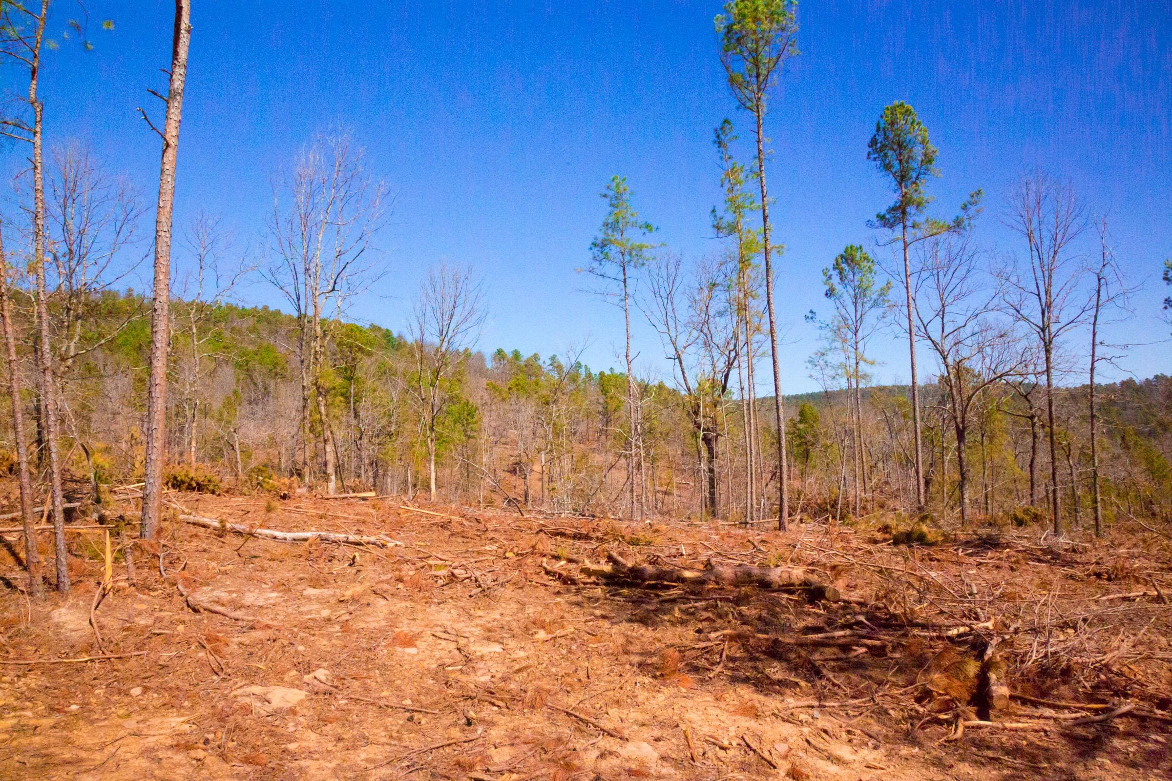 Stone Creek Phase II Tract 132 photo 12