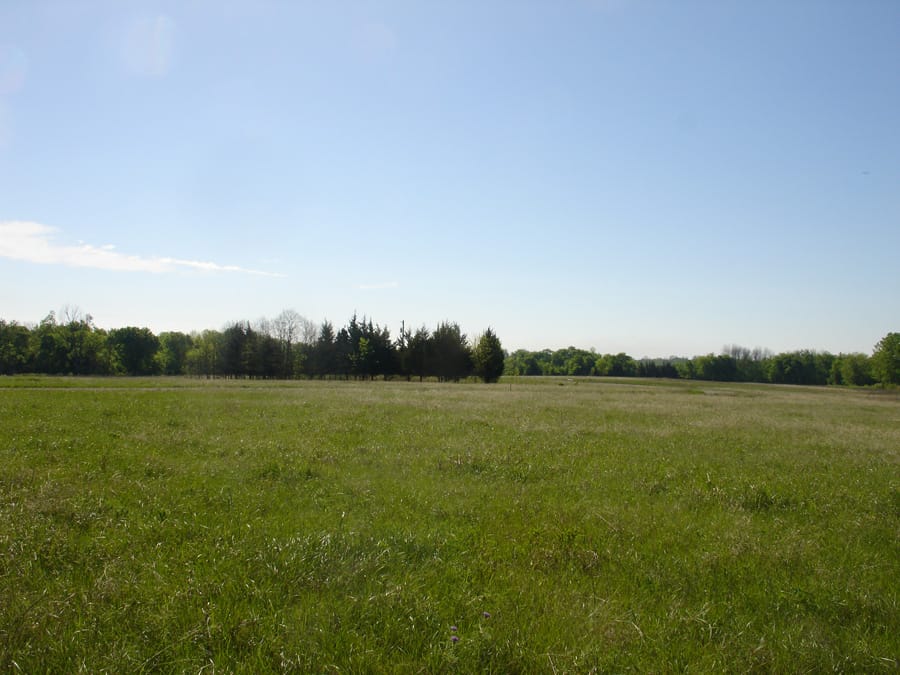 Red River Ranch Tract 9 photo 1