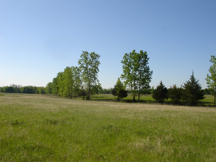 Red River Ranch Tract 9 photo 2
