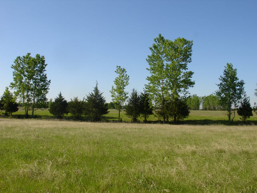 Red River Ranch Tract 9 photo 3