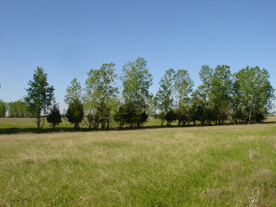 Red River Ranch Tract 9 photo 4