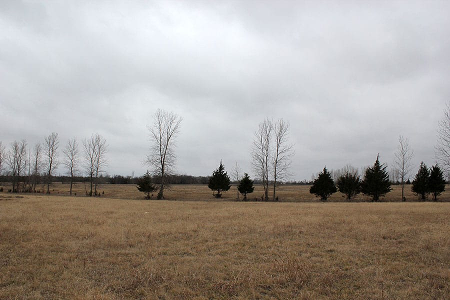 Red River Ranch Tract 9 photo 6
