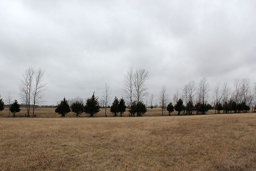 Red River Ranch Tract 9 photo 7