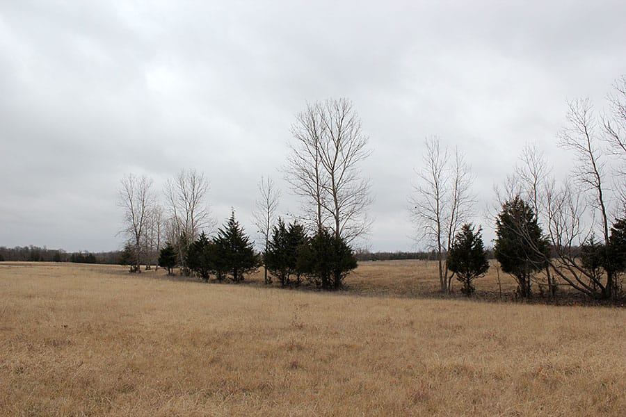 Red River Ranch Tract 9 photo 8