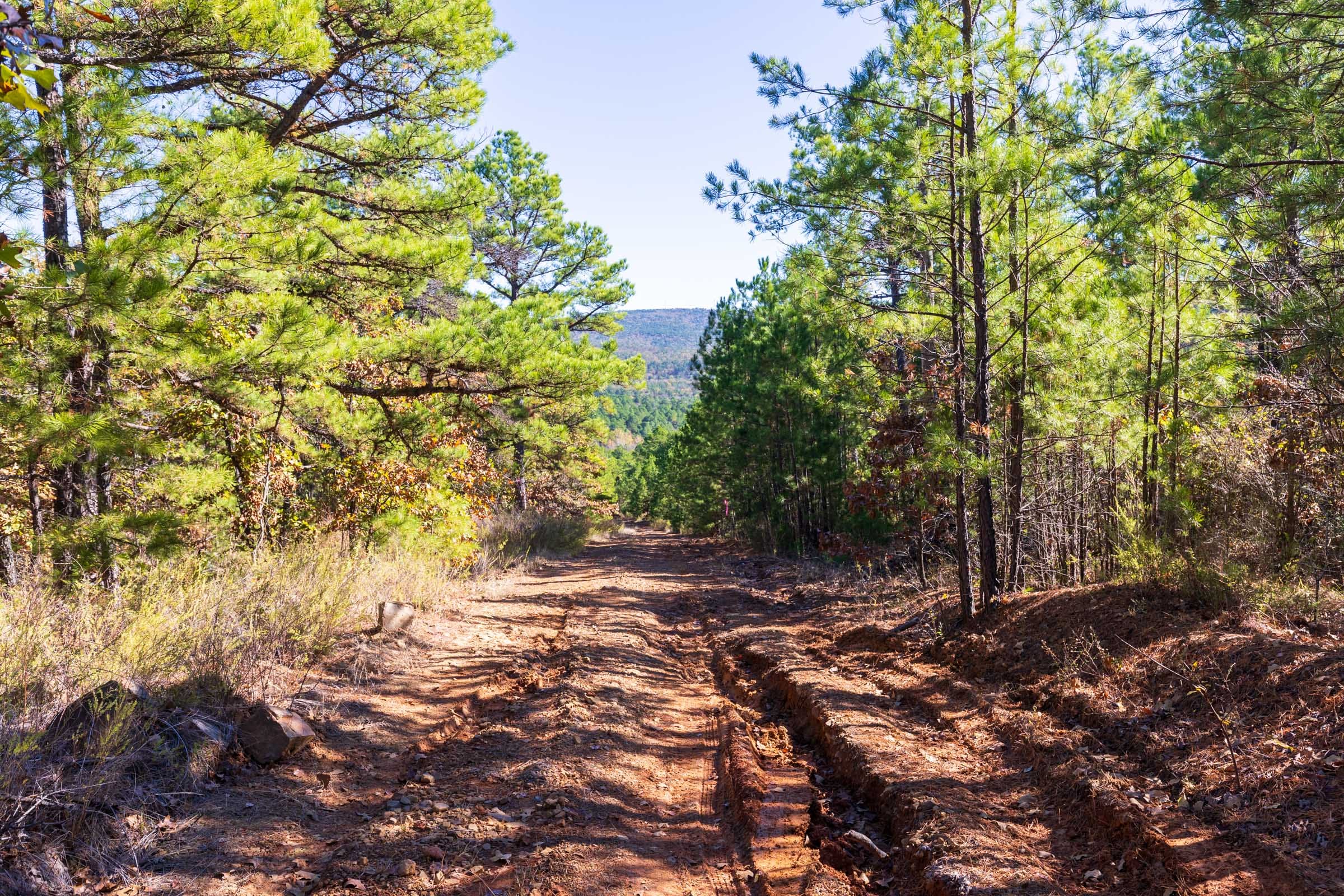 Stone Bridge Reserve Tract 15 photo 1