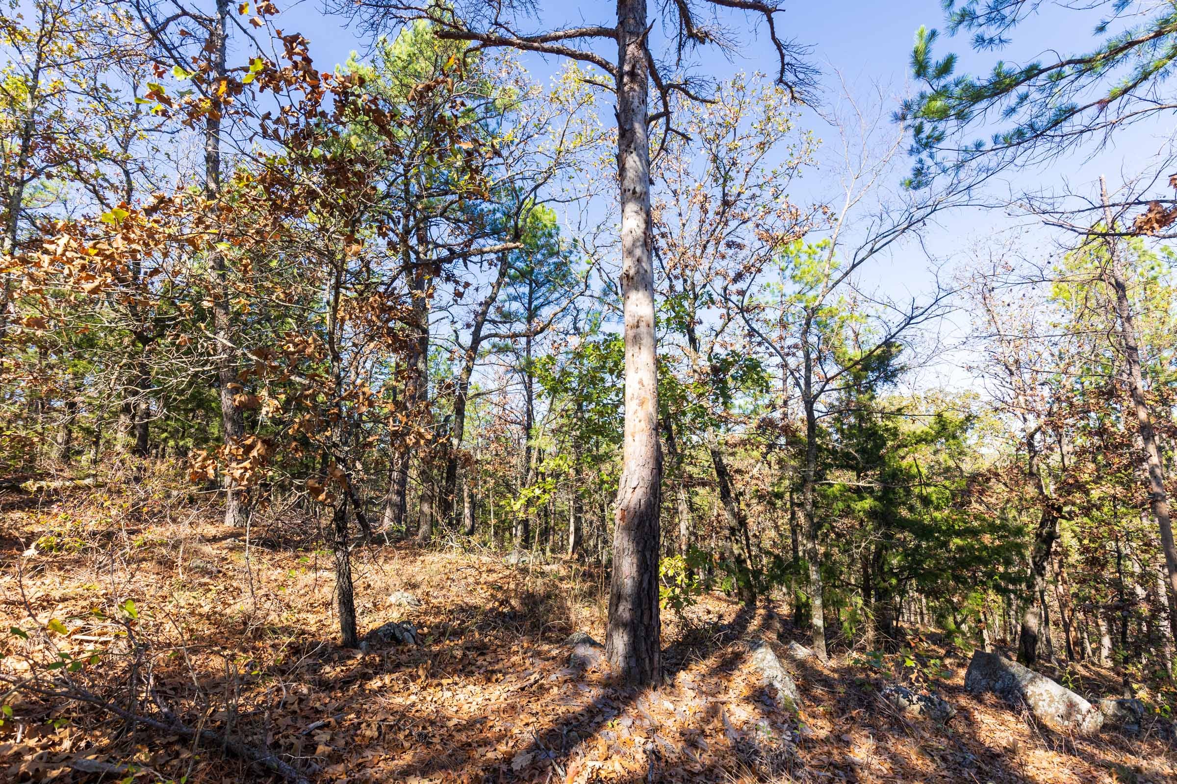 Stone Bridge Reserve Tract 15 photo 4