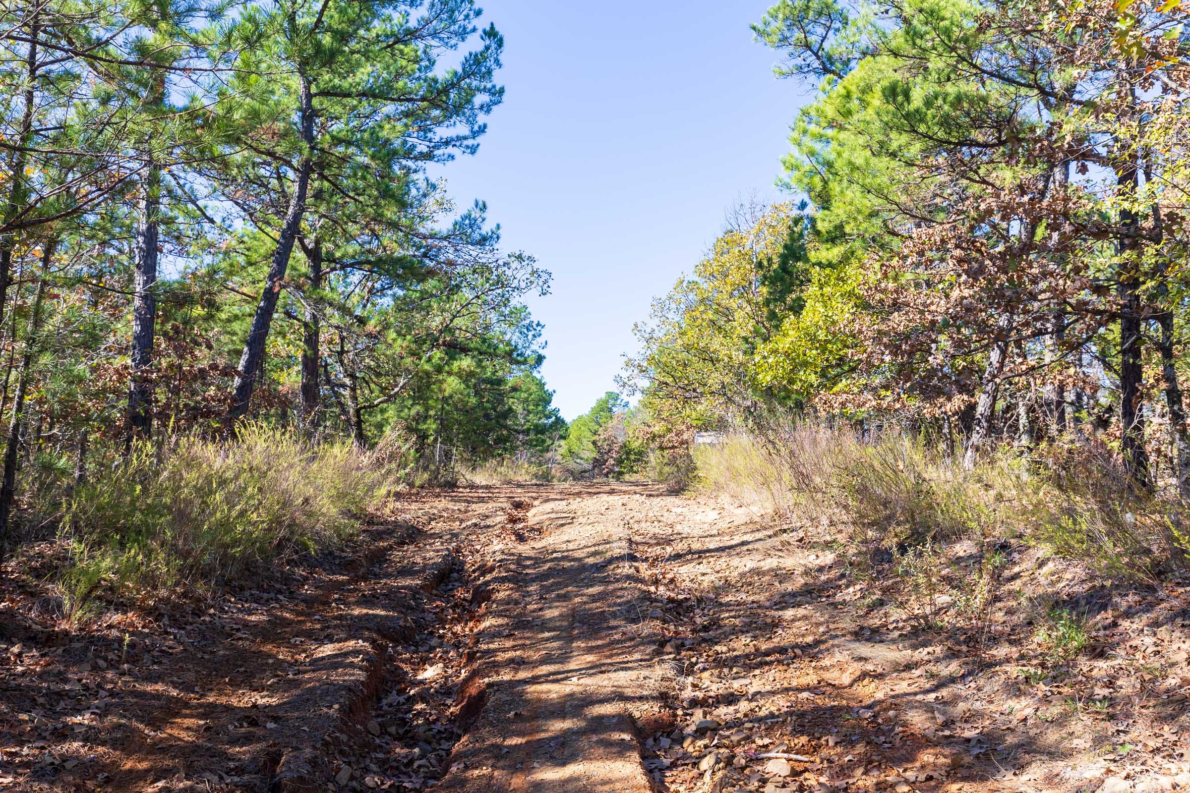 Stone Bridge Reserve Tract 15 photo 5