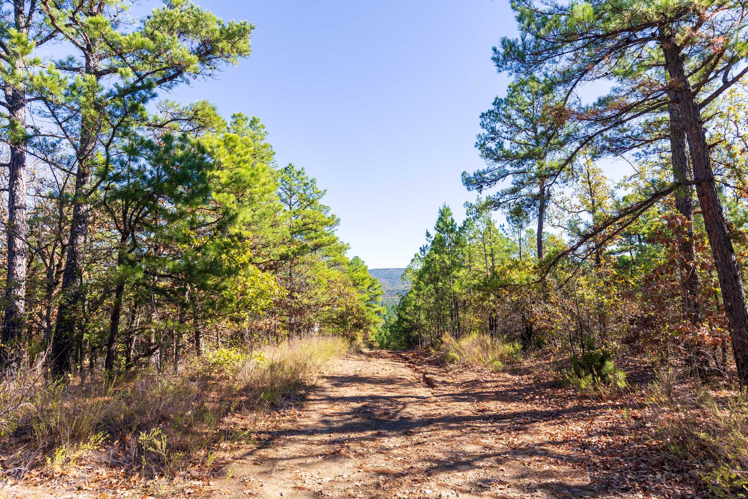 Stone Bridge Reserve Tract 15 photo 3