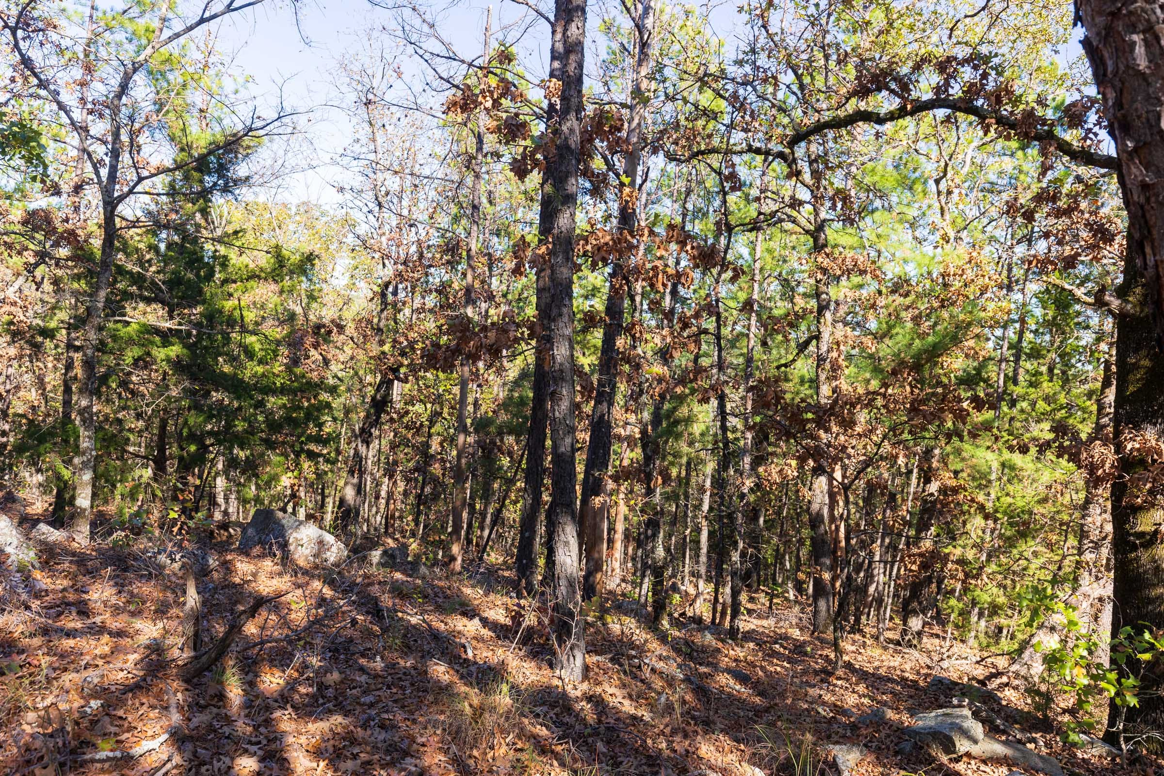 Stone Bridge Reserve Tract 15 photo 2