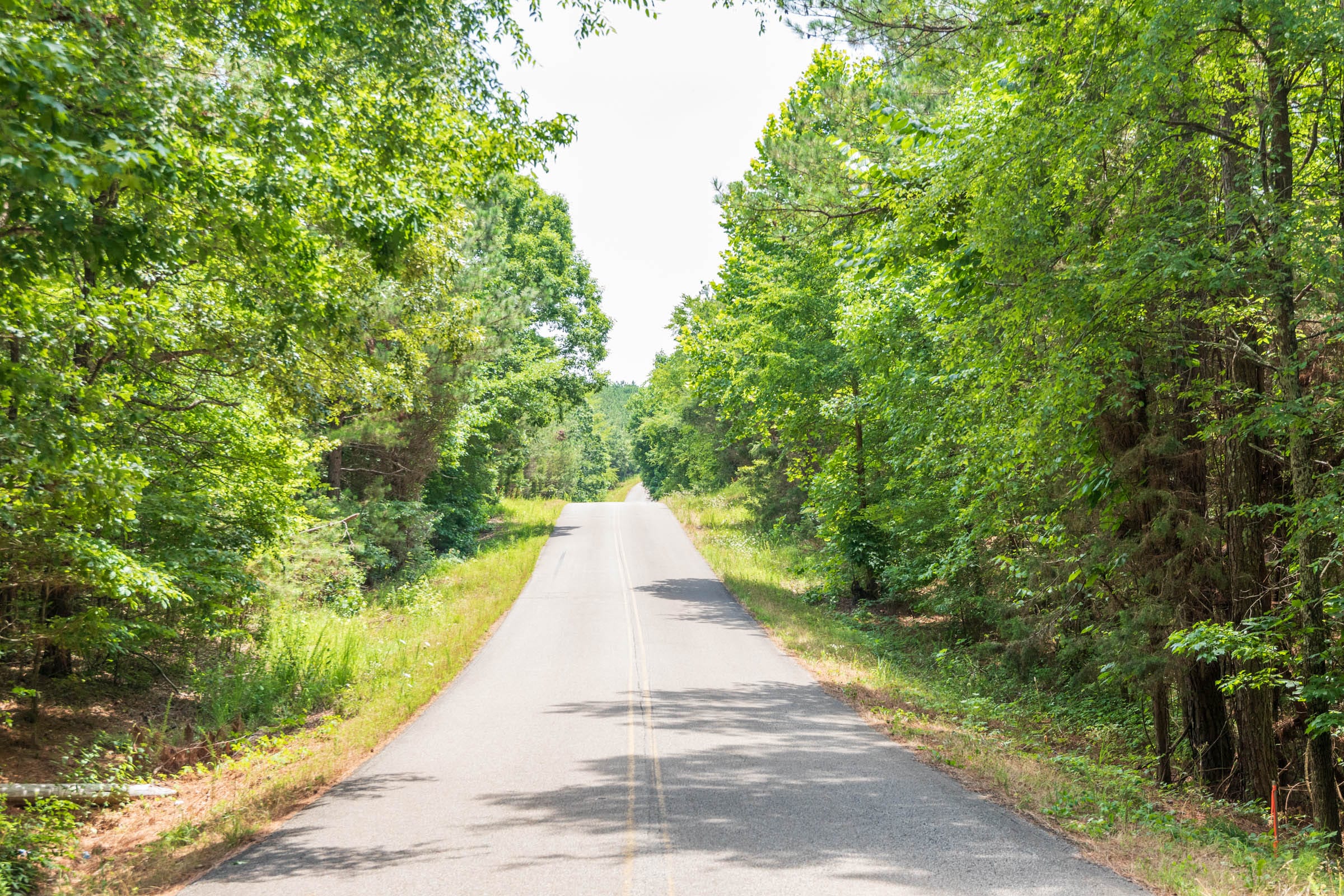Whiskey Ridge Tract 48 photo 4