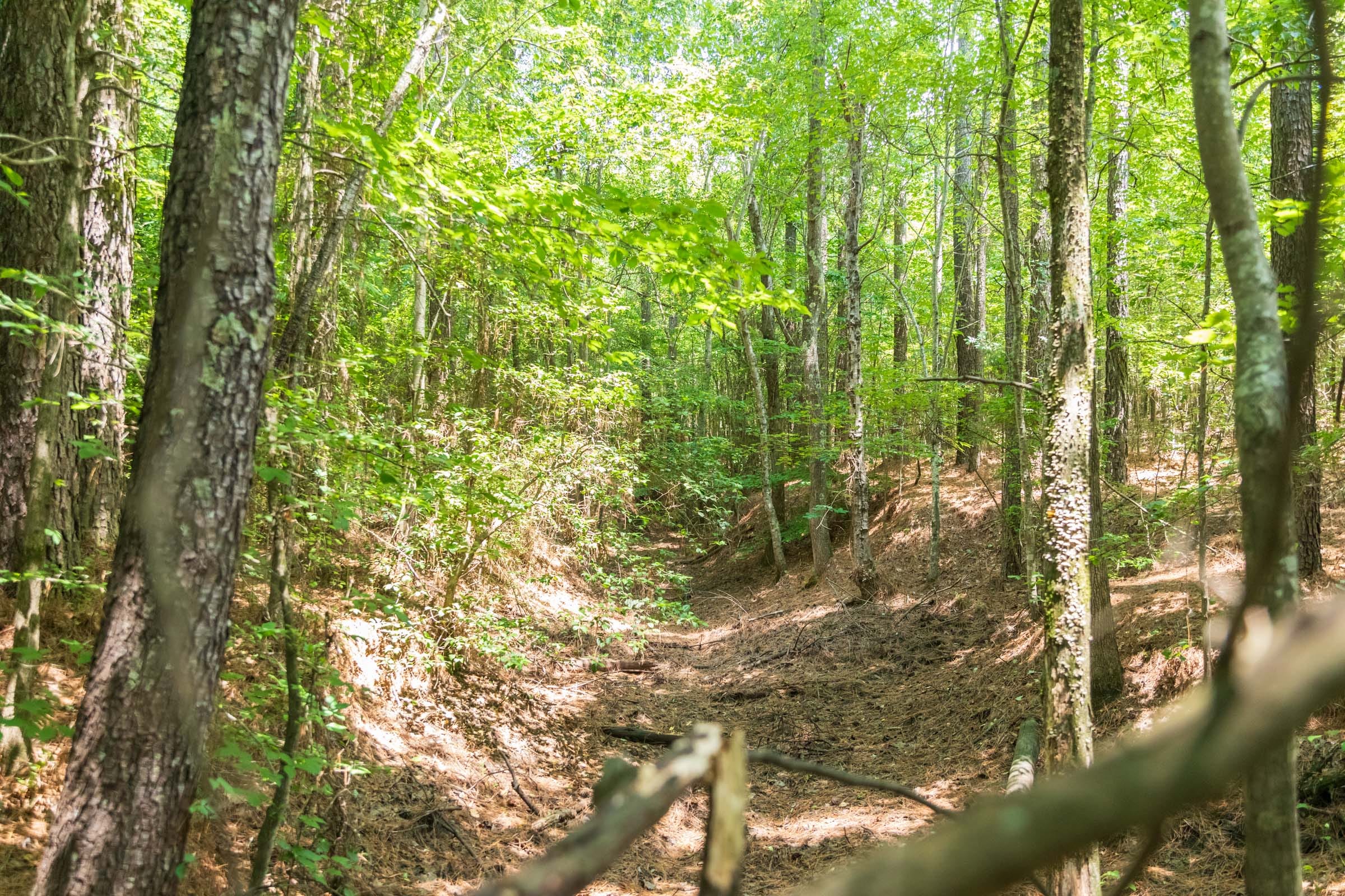 Whiskey Ridge Tract 48 photo 3