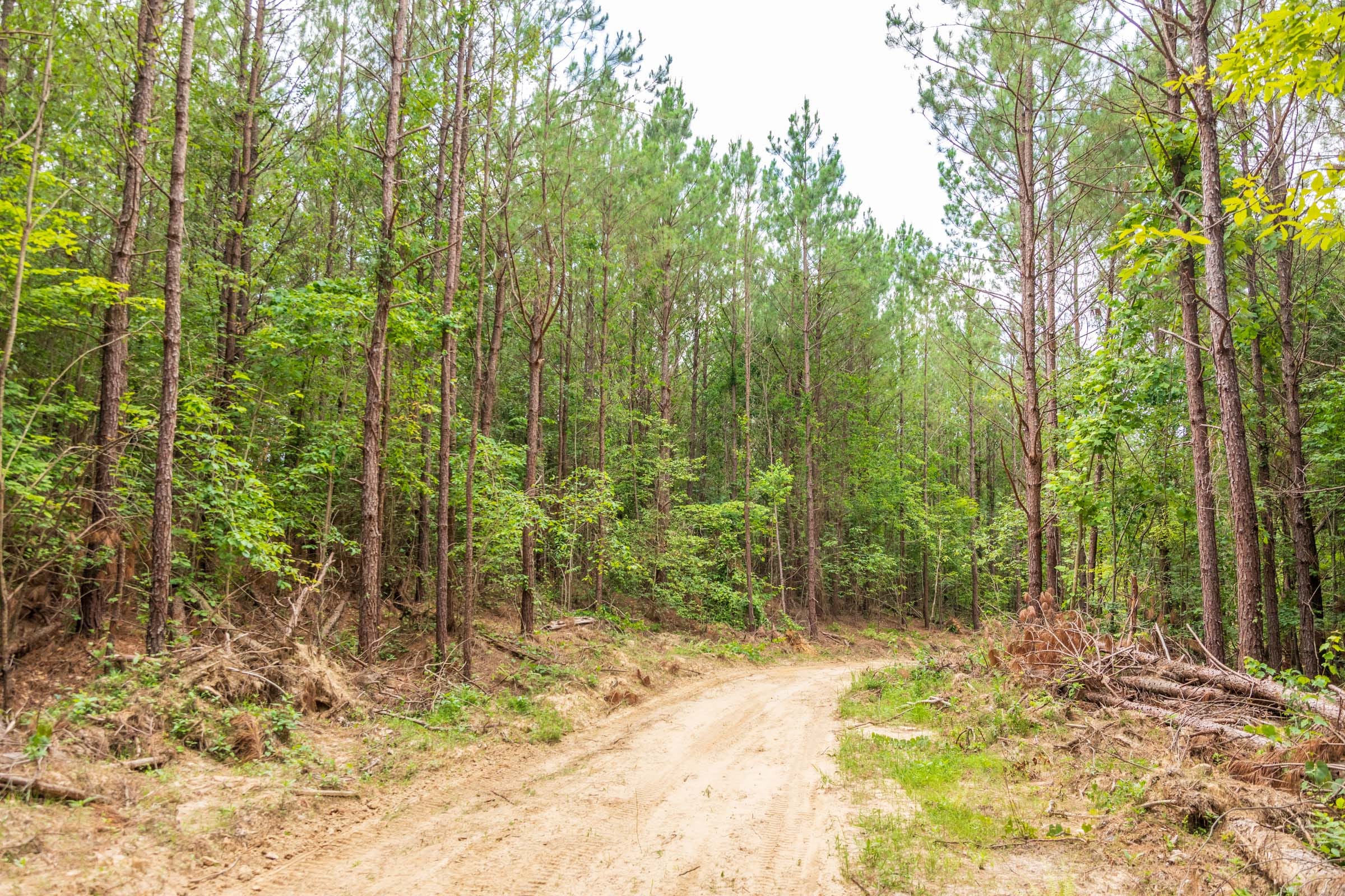 Whiskey Ridge Tract 48 photo 13