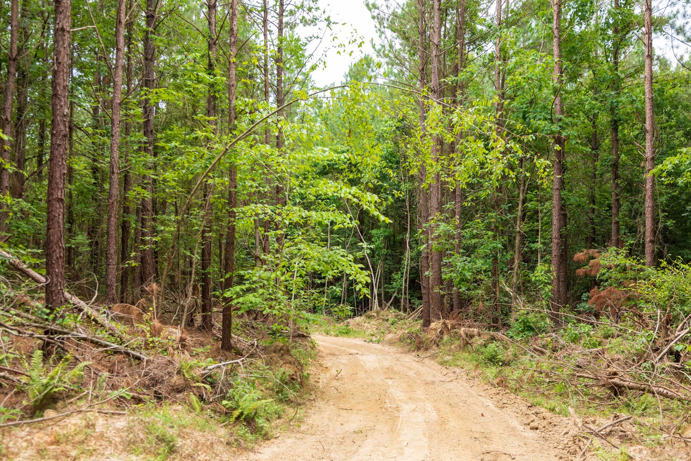 Whiskey Ridge Tract 48 photo 5