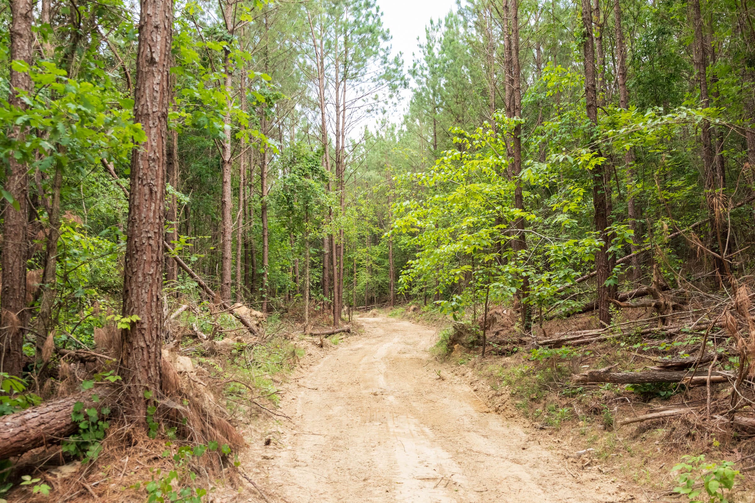 Whiskey Ridge Tract 48 photo 17