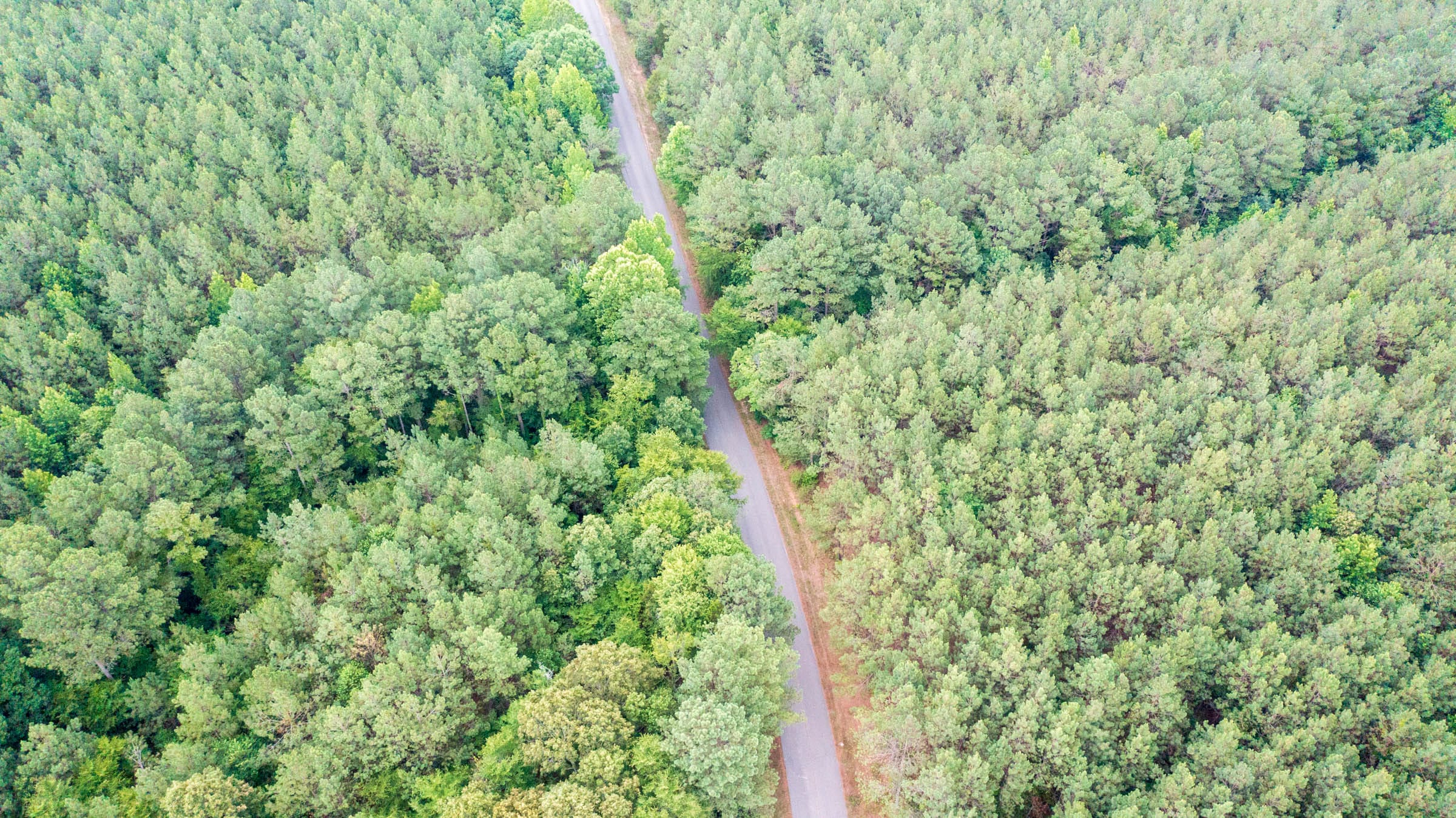 Whiskey Ridge Tract 48 photo 1