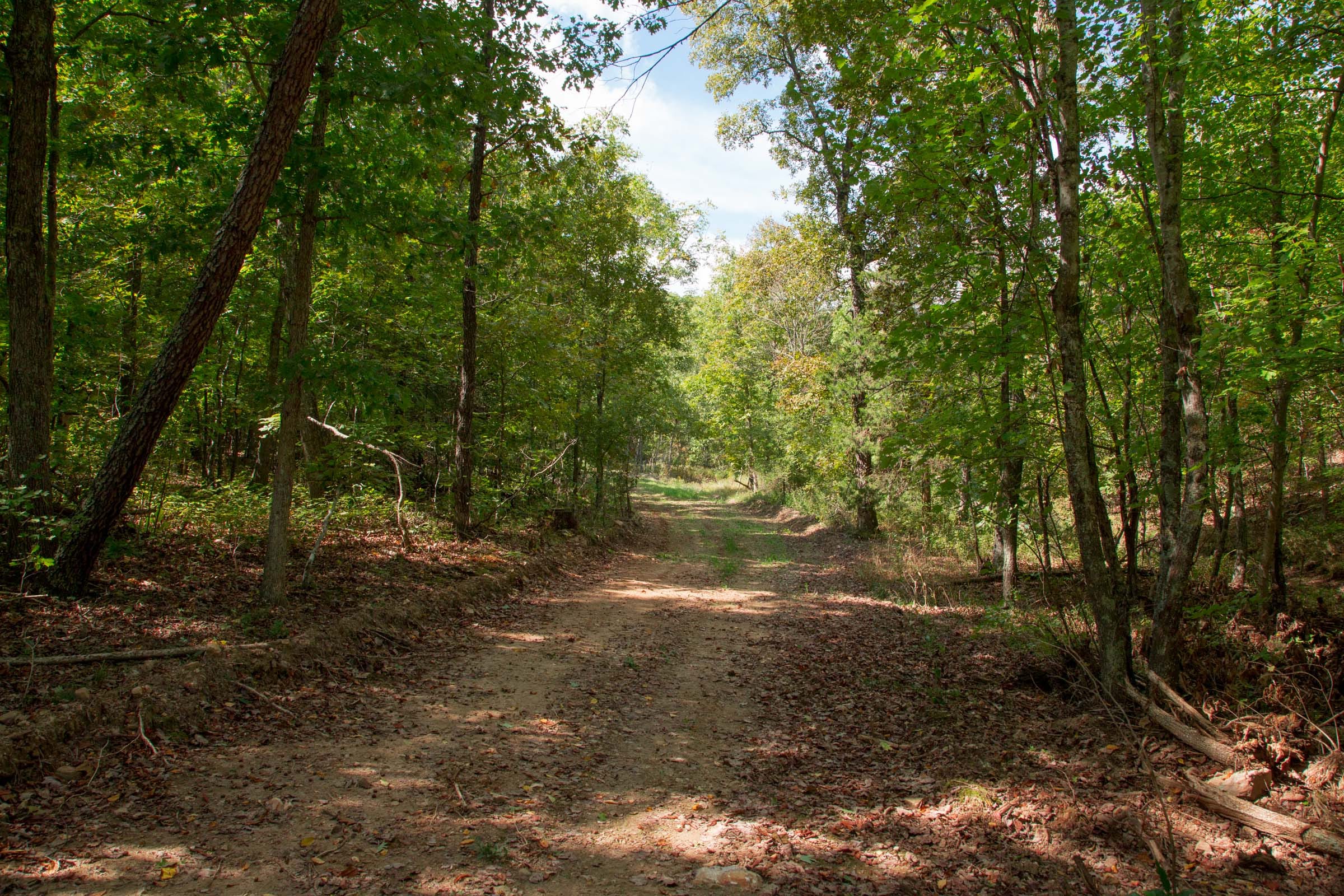 Wagon Wheel Ranch Tract 51 photo 2