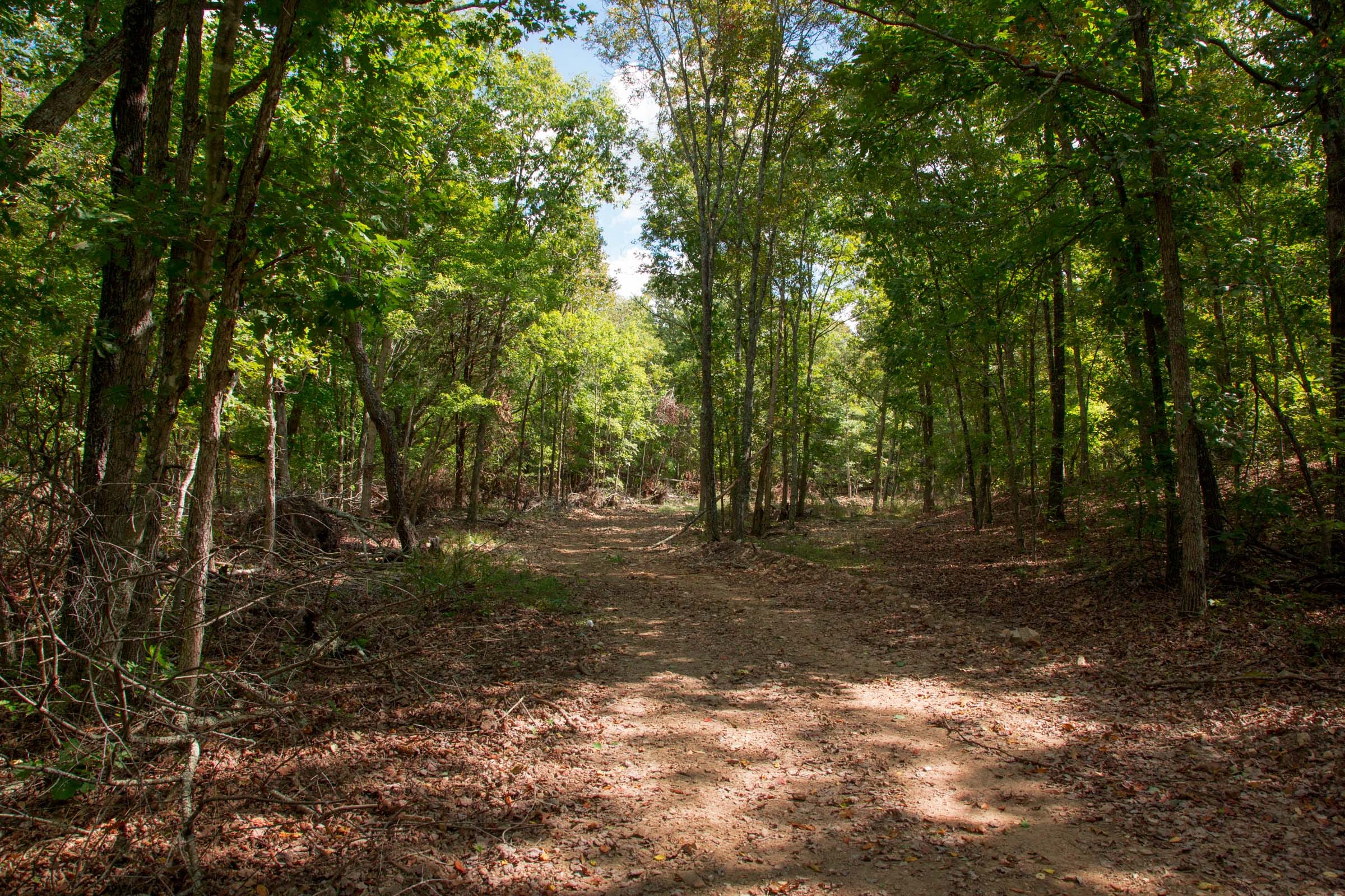 Wagon Wheel Ranch Tract 51 photo 5