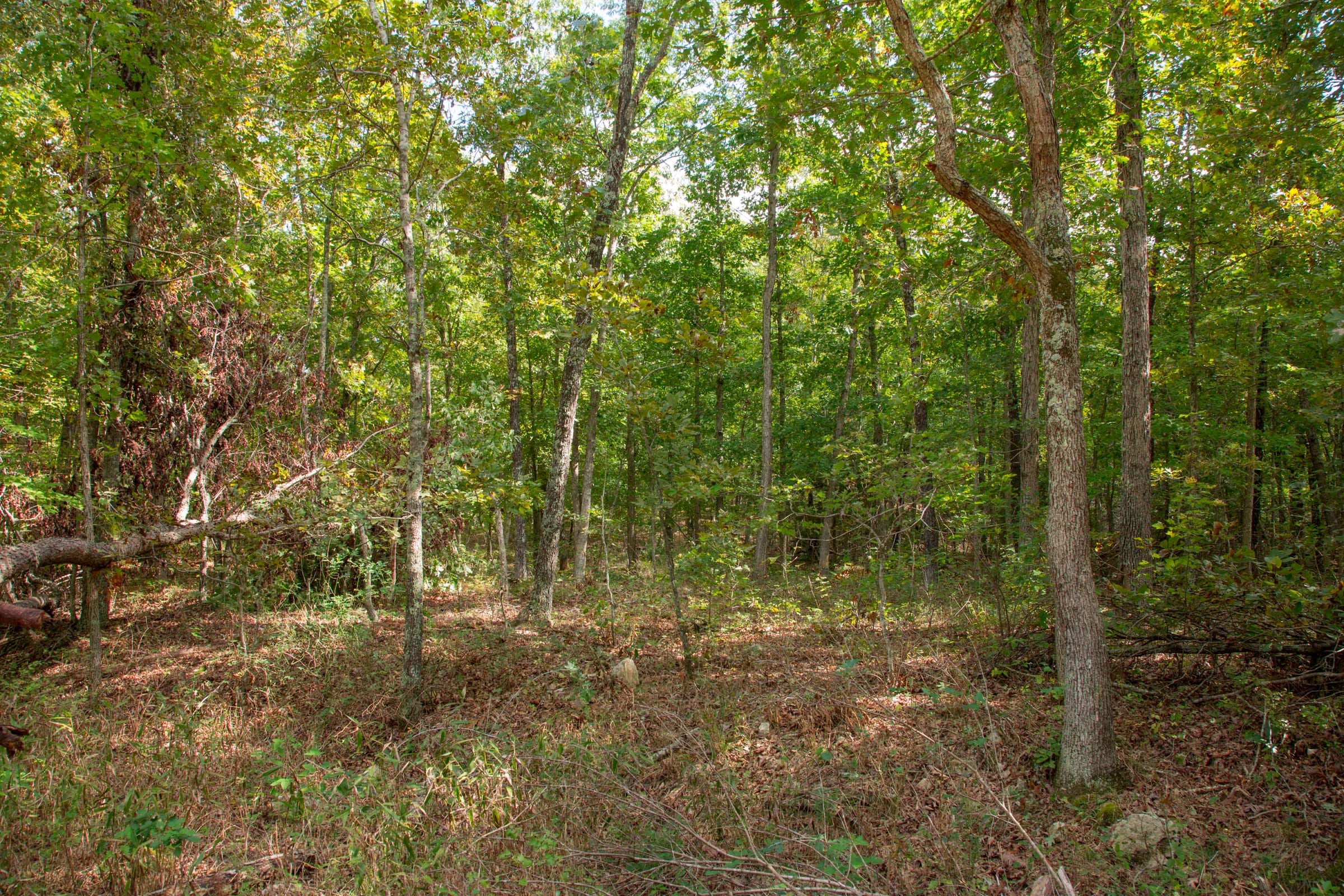 Wagon Wheel Ranch Tract 51 photo 6