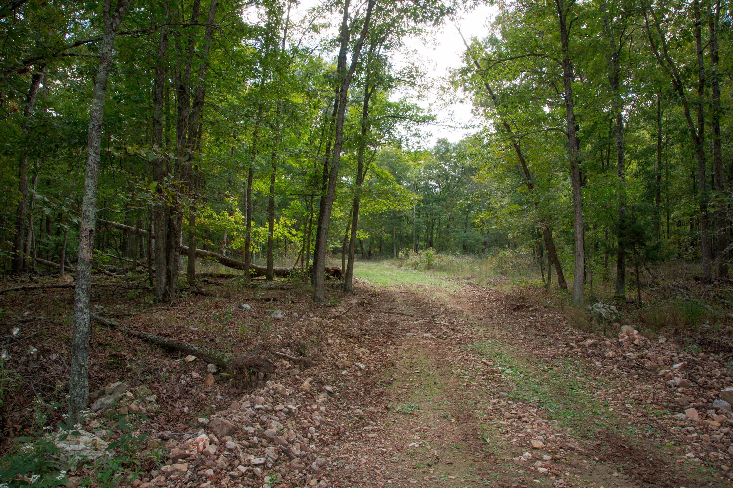 Wagon Wheel Ranch Tract 51 photo 7