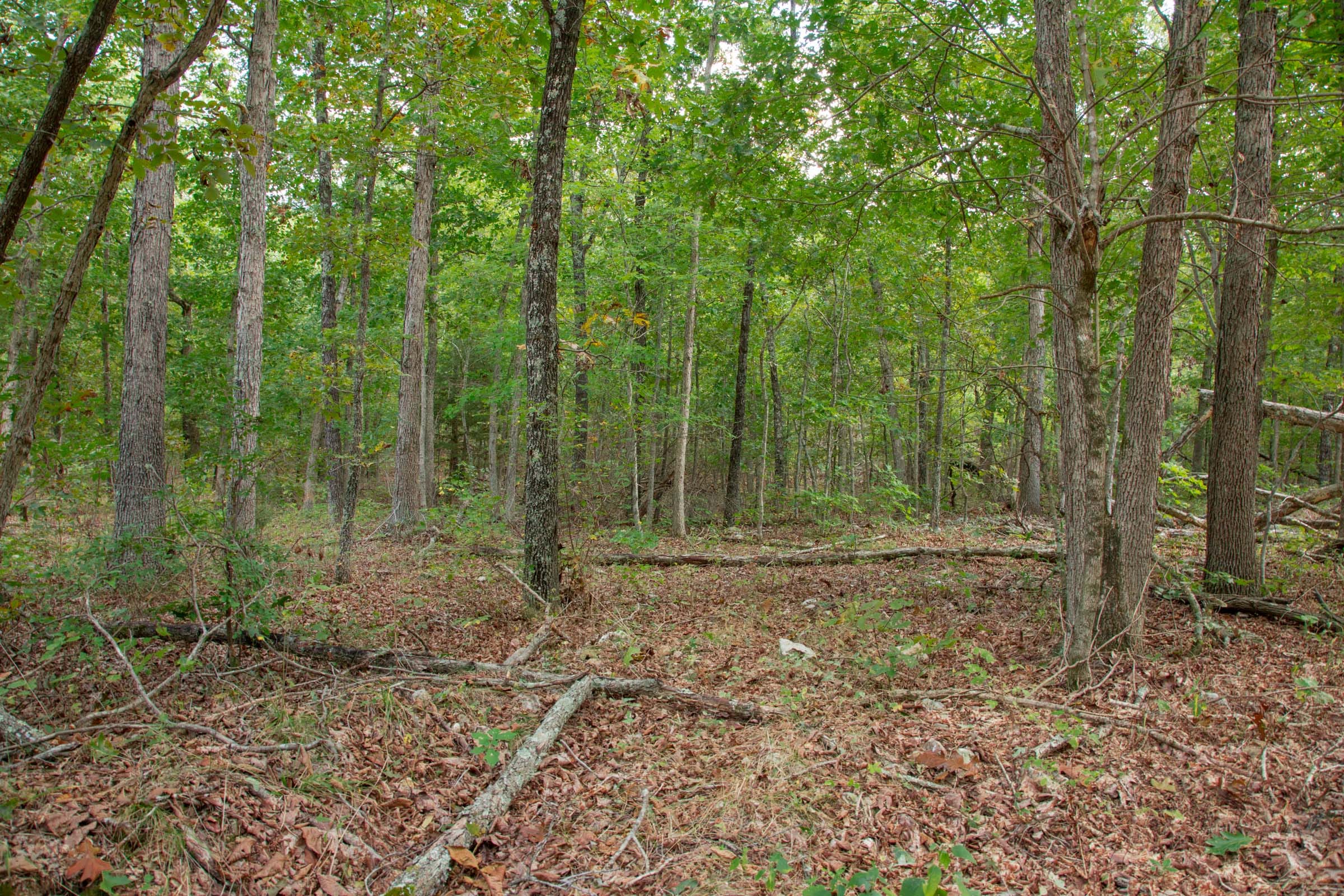 Wagon Wheel Ranch Tract 51 photo 1