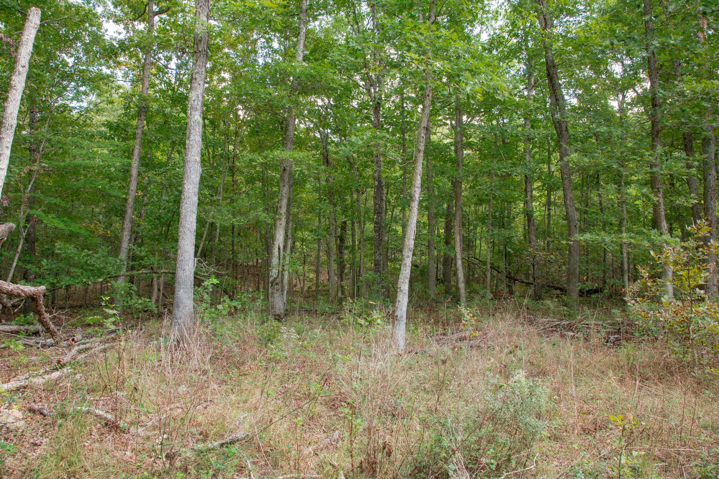 Wagon Wheel Ranch Tract 51 photo 8