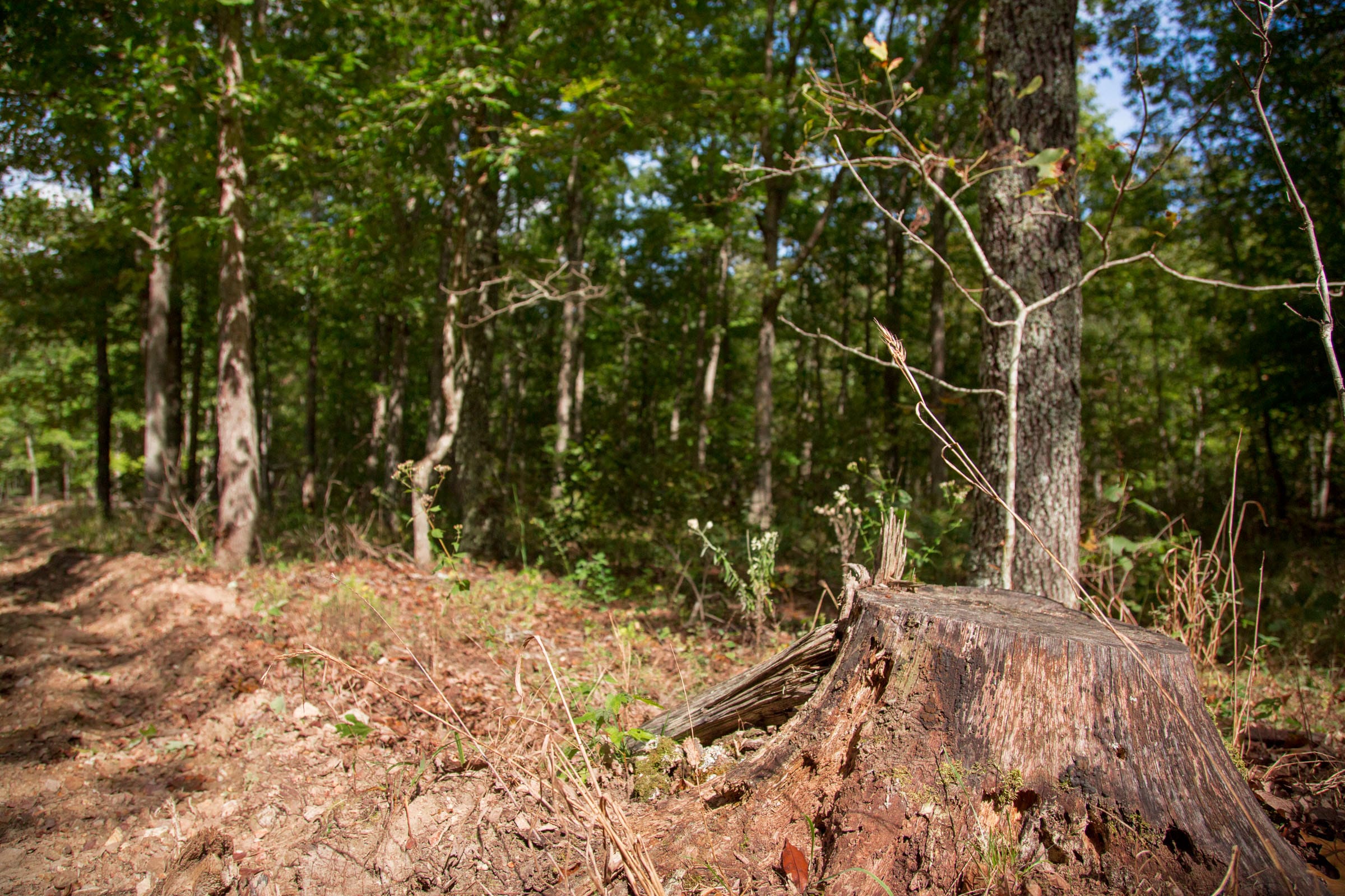 Wagon Wheel Ranch Tract 51 photo 12