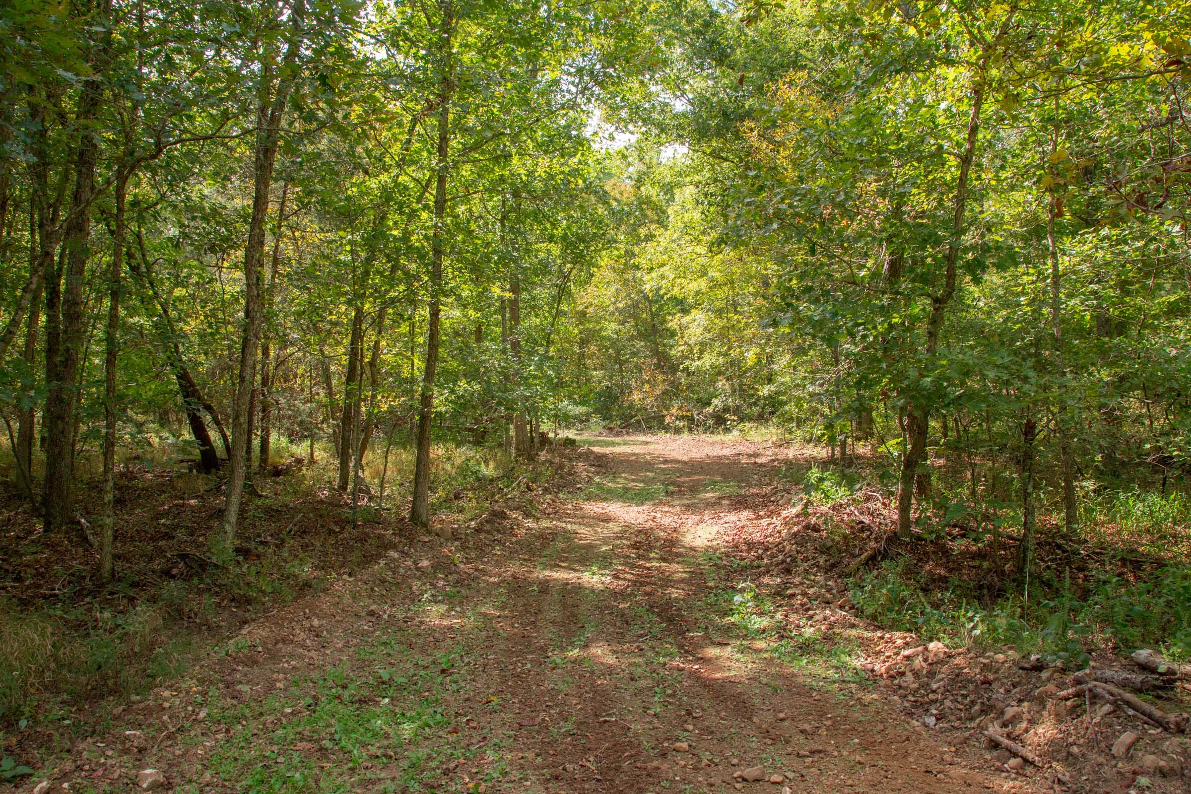 Wagon Wheel Ranch Tract 51 photo 13