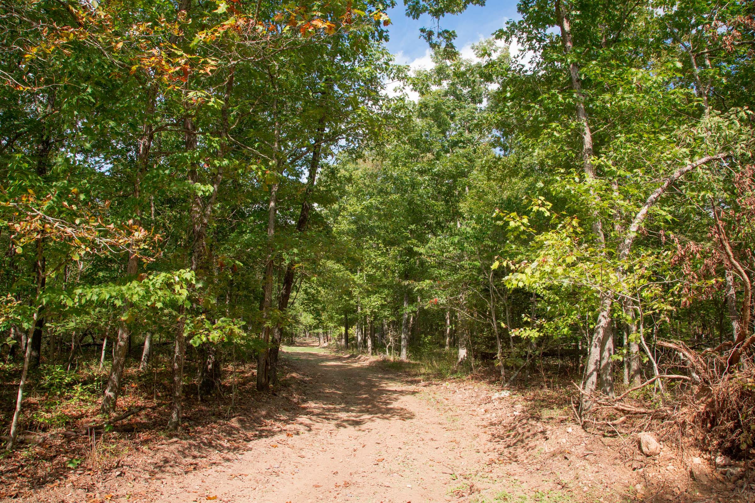 Wagon Wheel Ranch Tract 51 photo 15