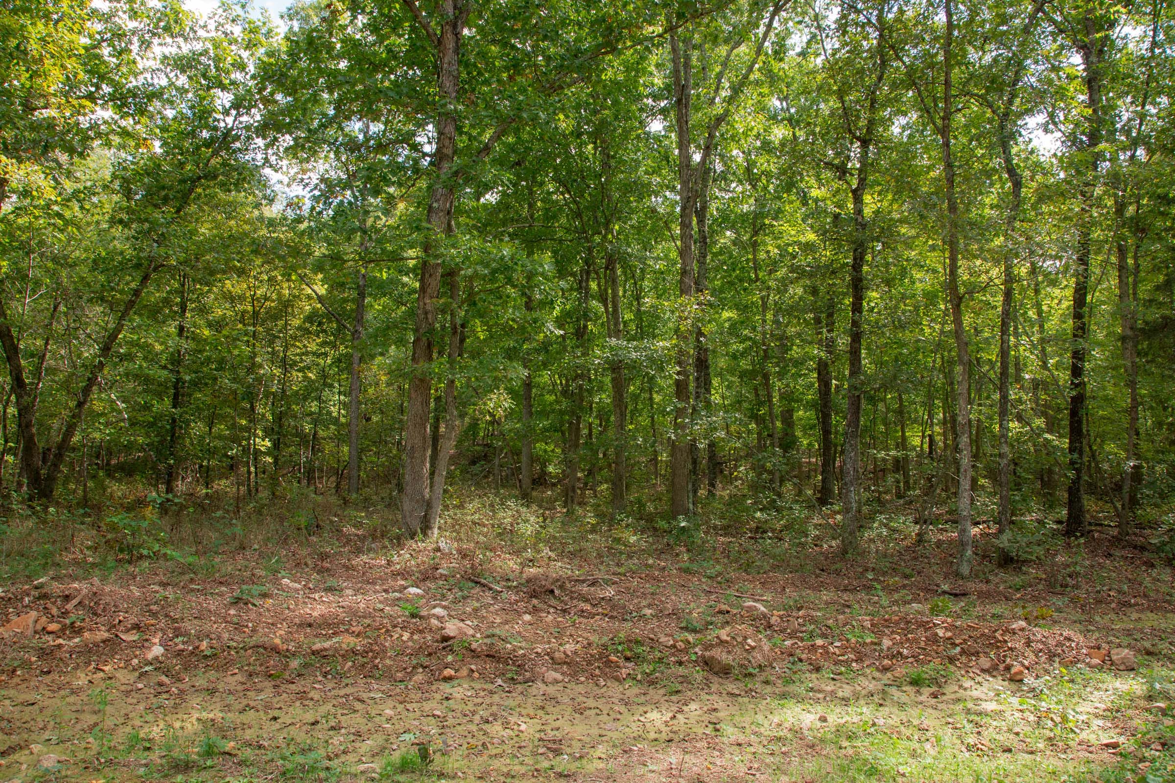 Wagon Wheel Ranch Tract 51 photo 16
