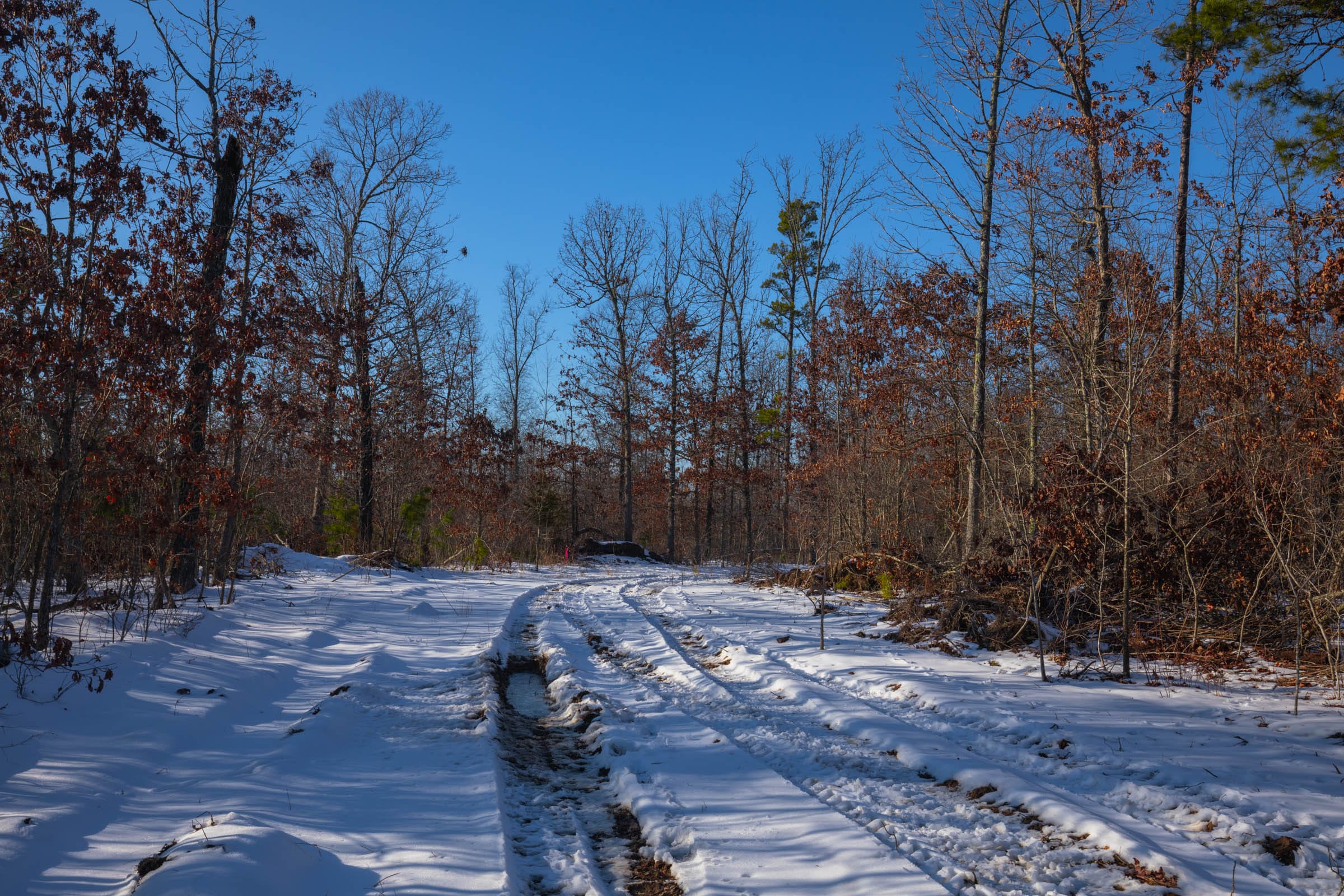 Sleepy Hollow Phase I Tract 54 photo 2