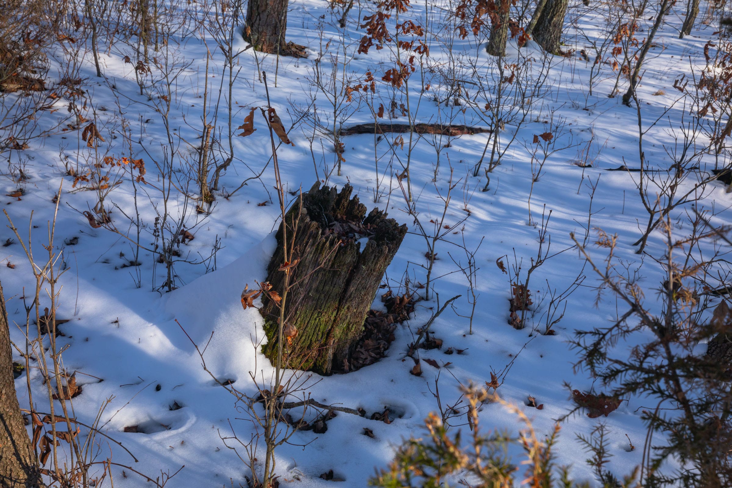 Sleepy Hollow Phase I Tract 54 photo 14