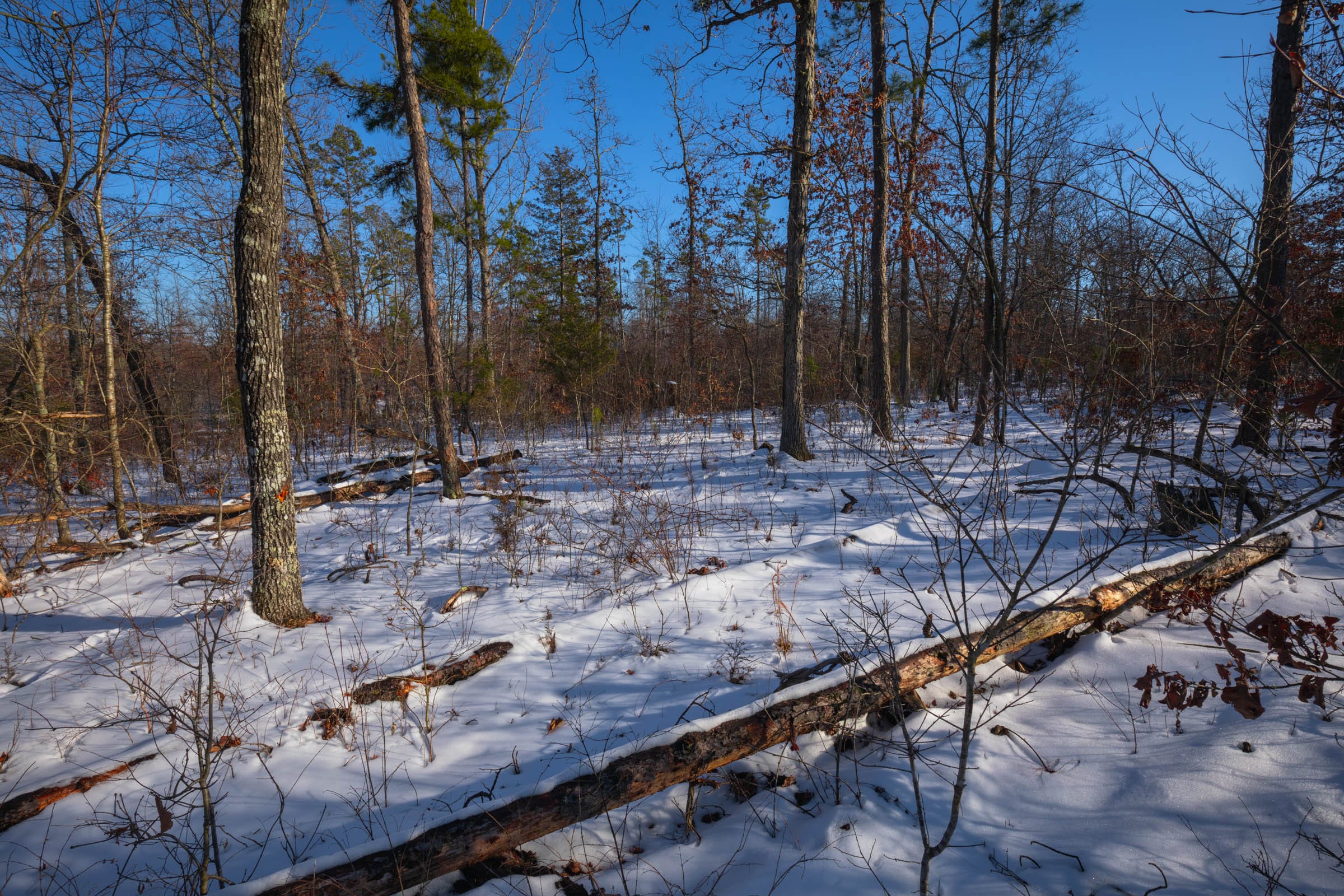 Sleepy Hollow Phase I Tract 54 photo 13