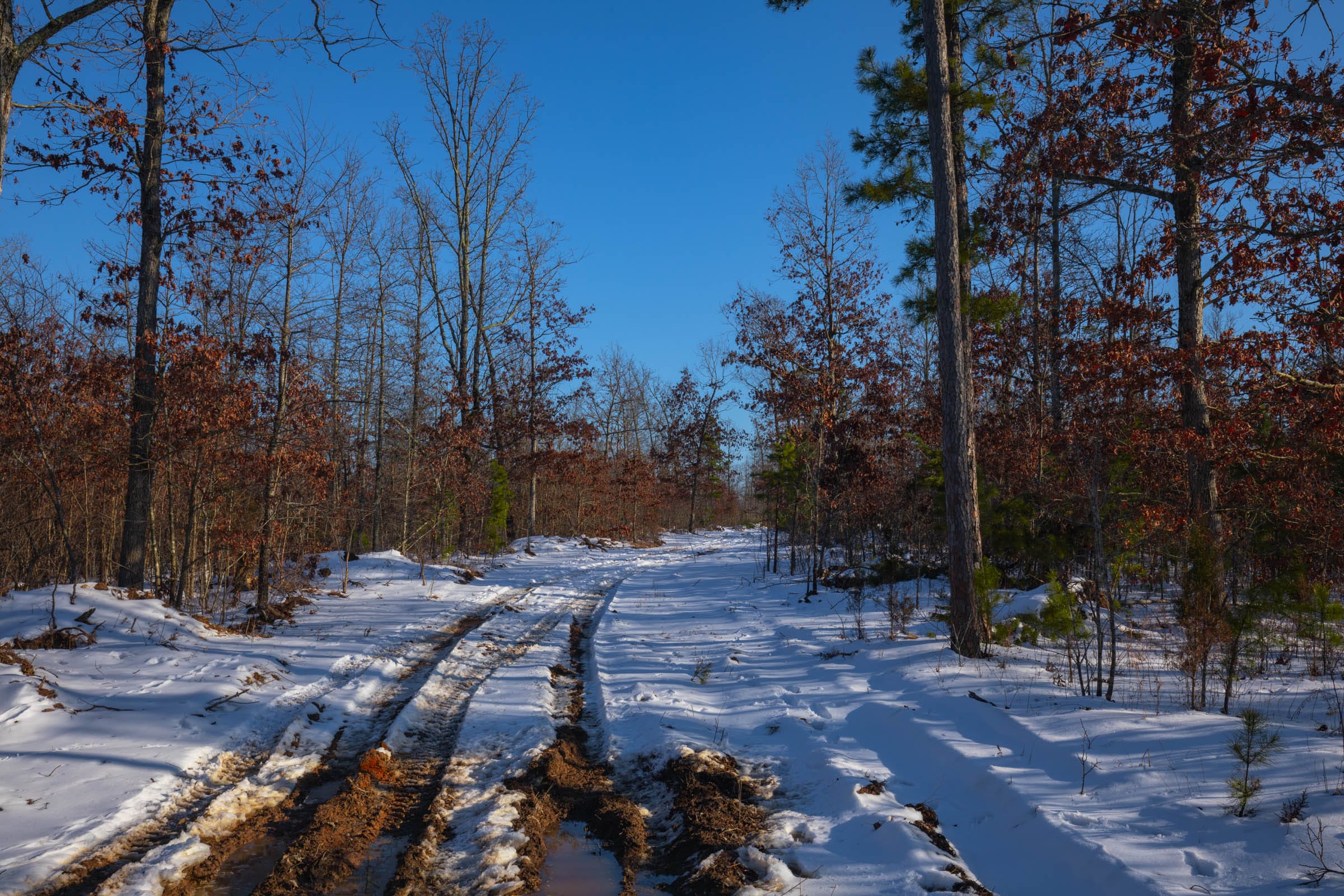 Sleepy Hollow Phase I Tract 54 photo 1