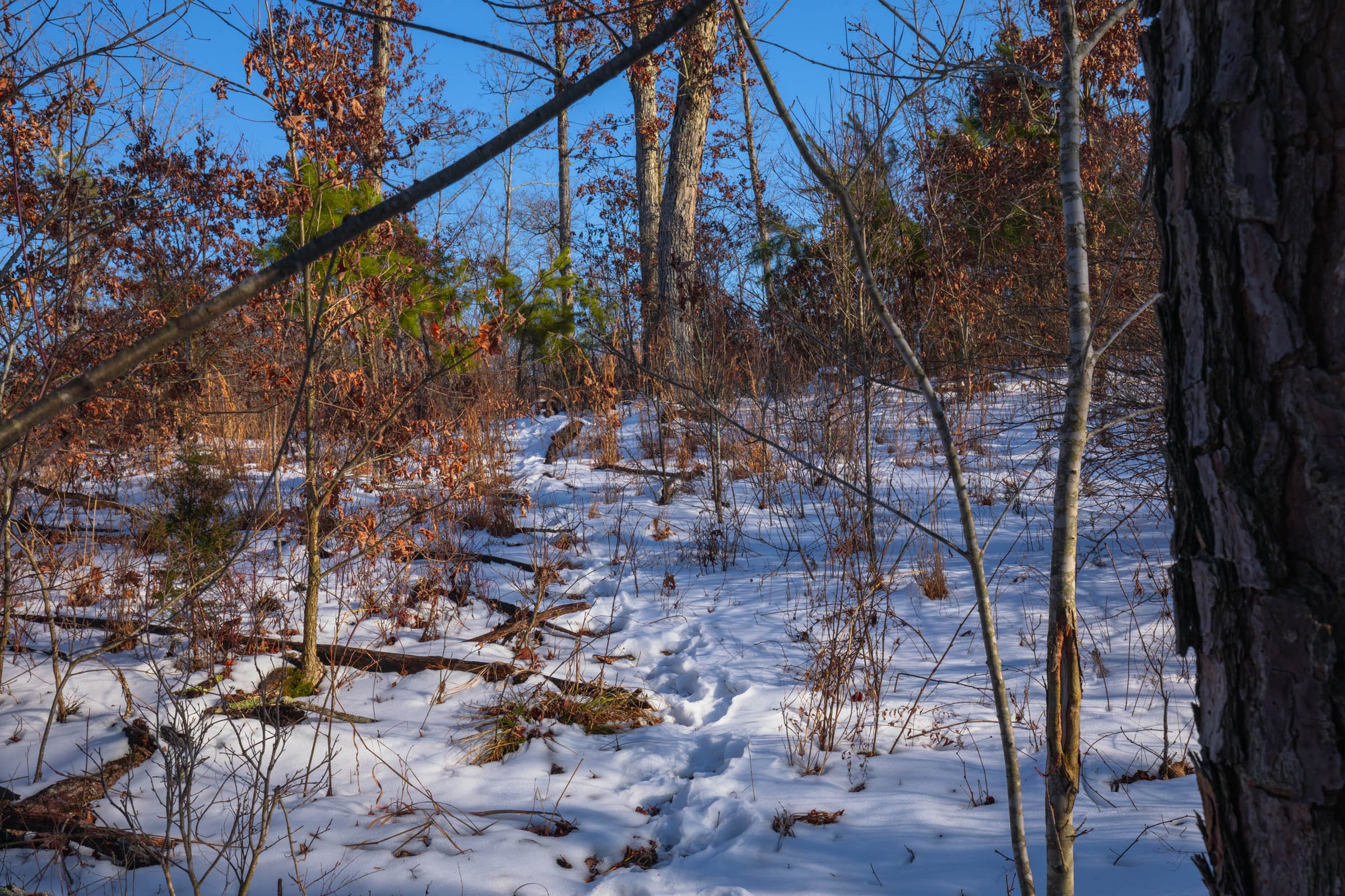 Sleepy Hollow Phase I Tract 54 photo 11